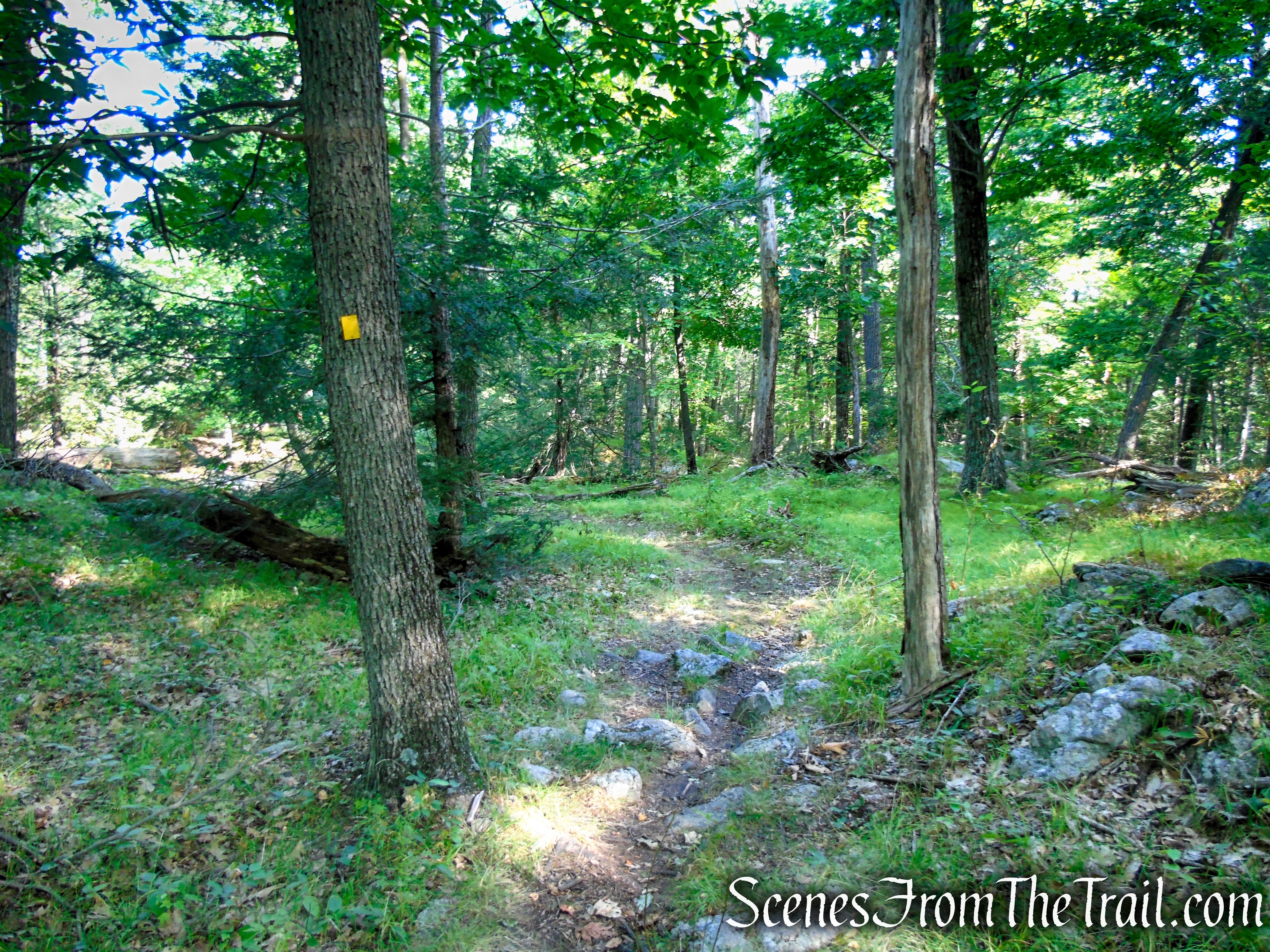Dunning Trail - Harriman State Park