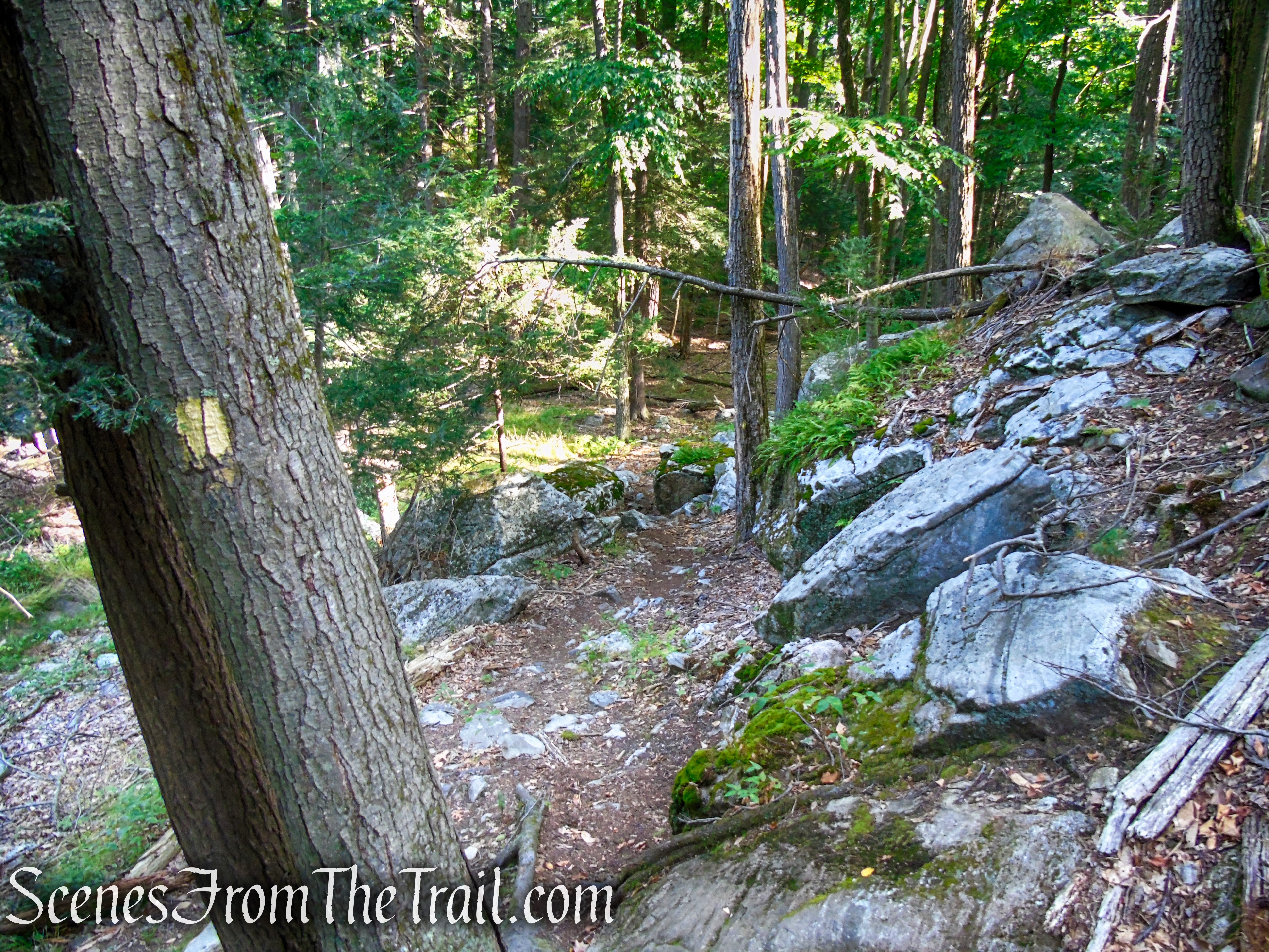 Dunning Trail - Harriman State Park