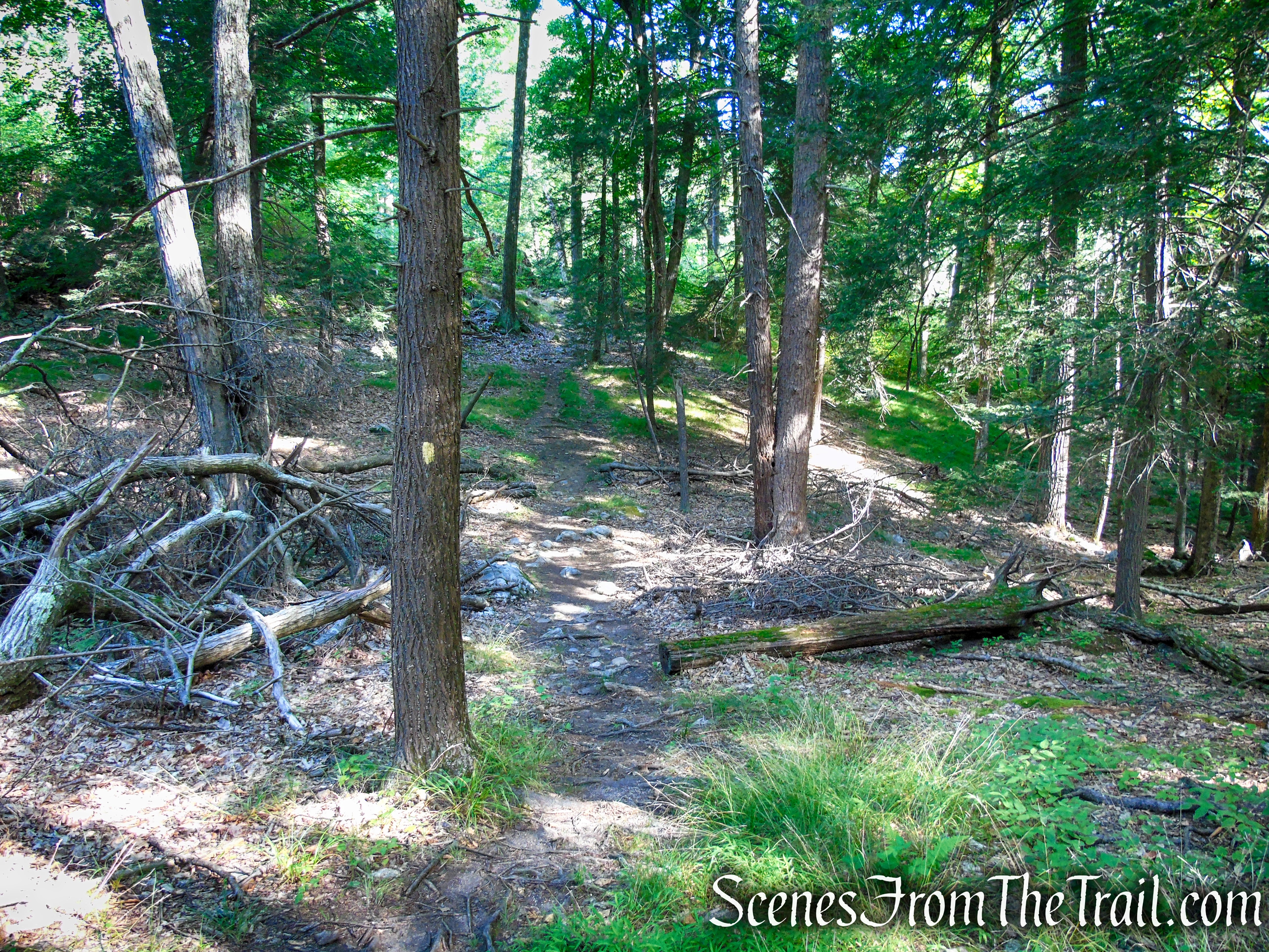 Dunning Trail - Harriman State Park