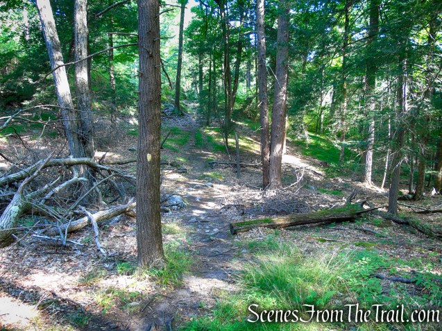Dunning Trail - Harriman State Park
