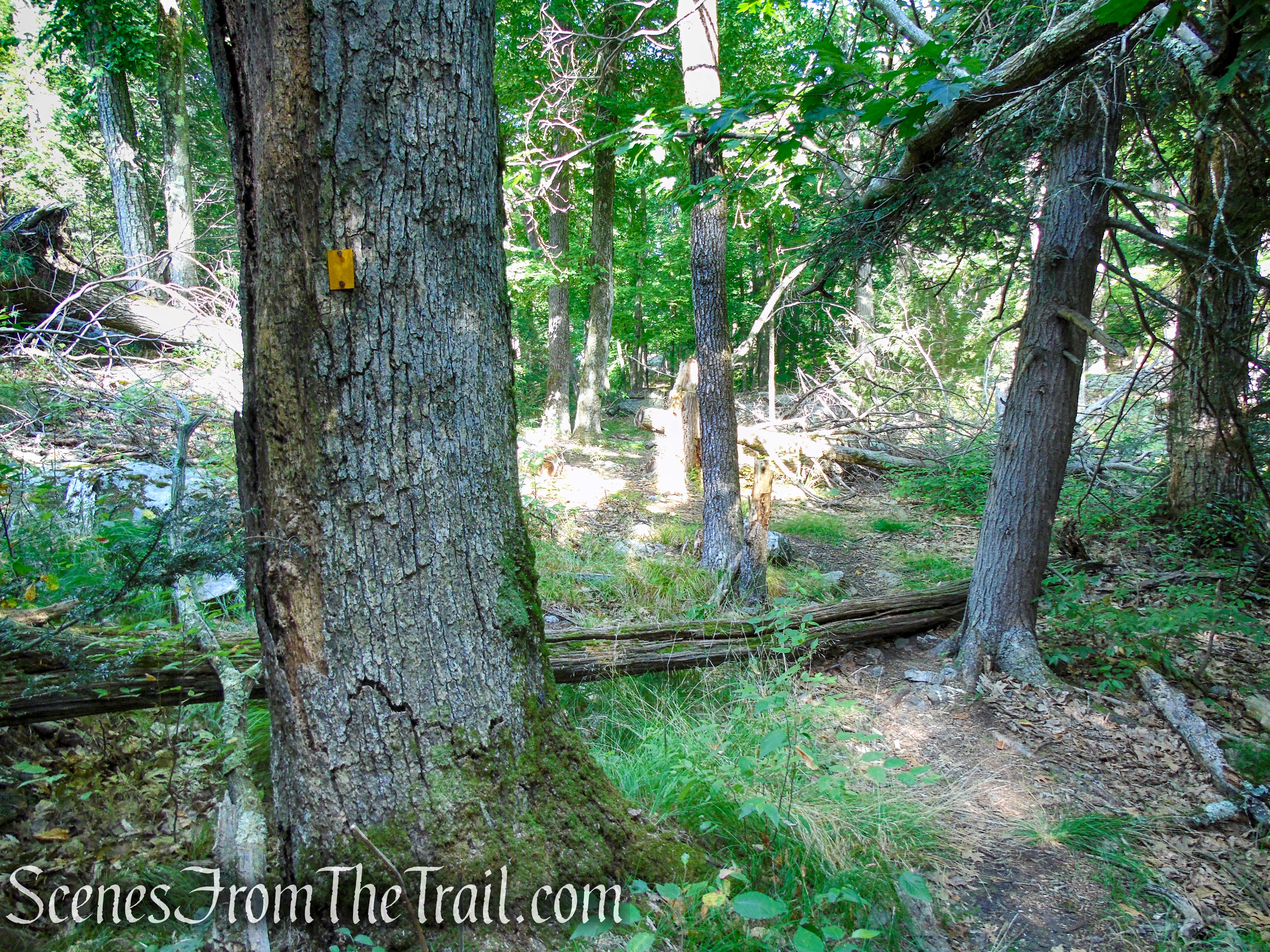 Dunning Trail - Harriman State Park