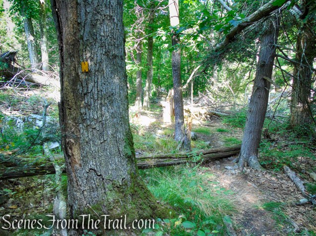 Dunning Trail - Harriman State Park