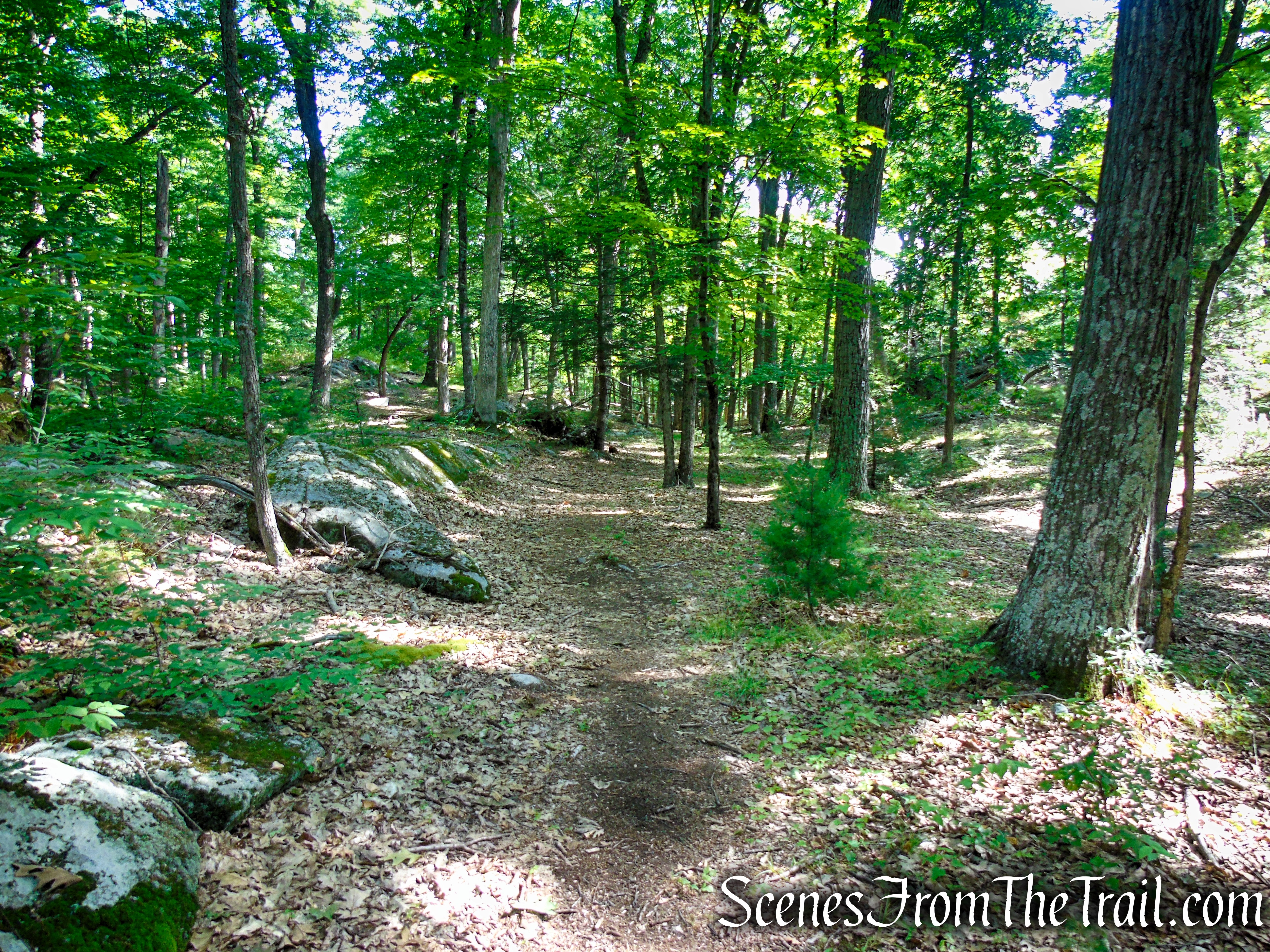 Dunning Trail - Harriman State Park