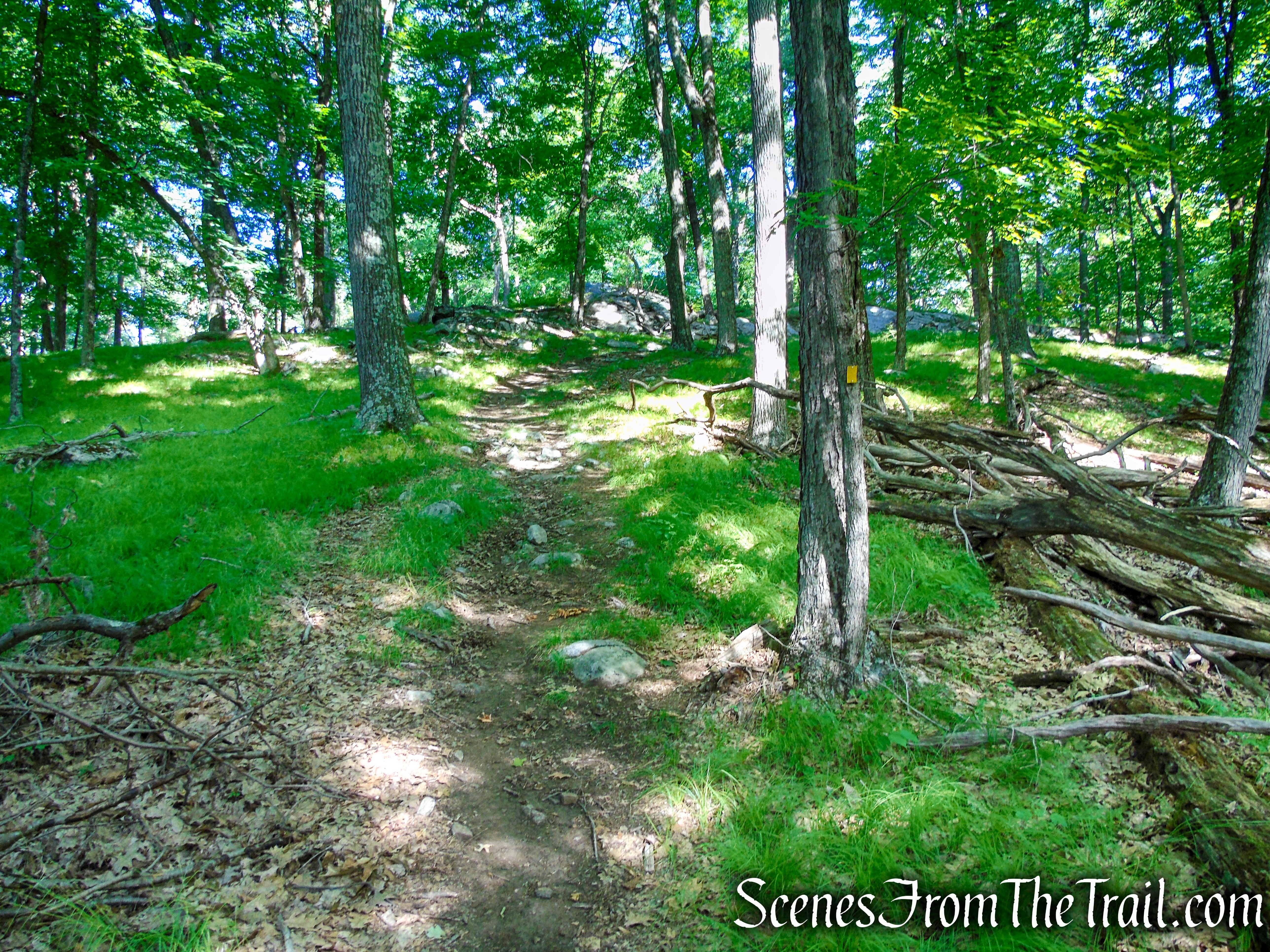 Dunning Trail - Harriman State Park
