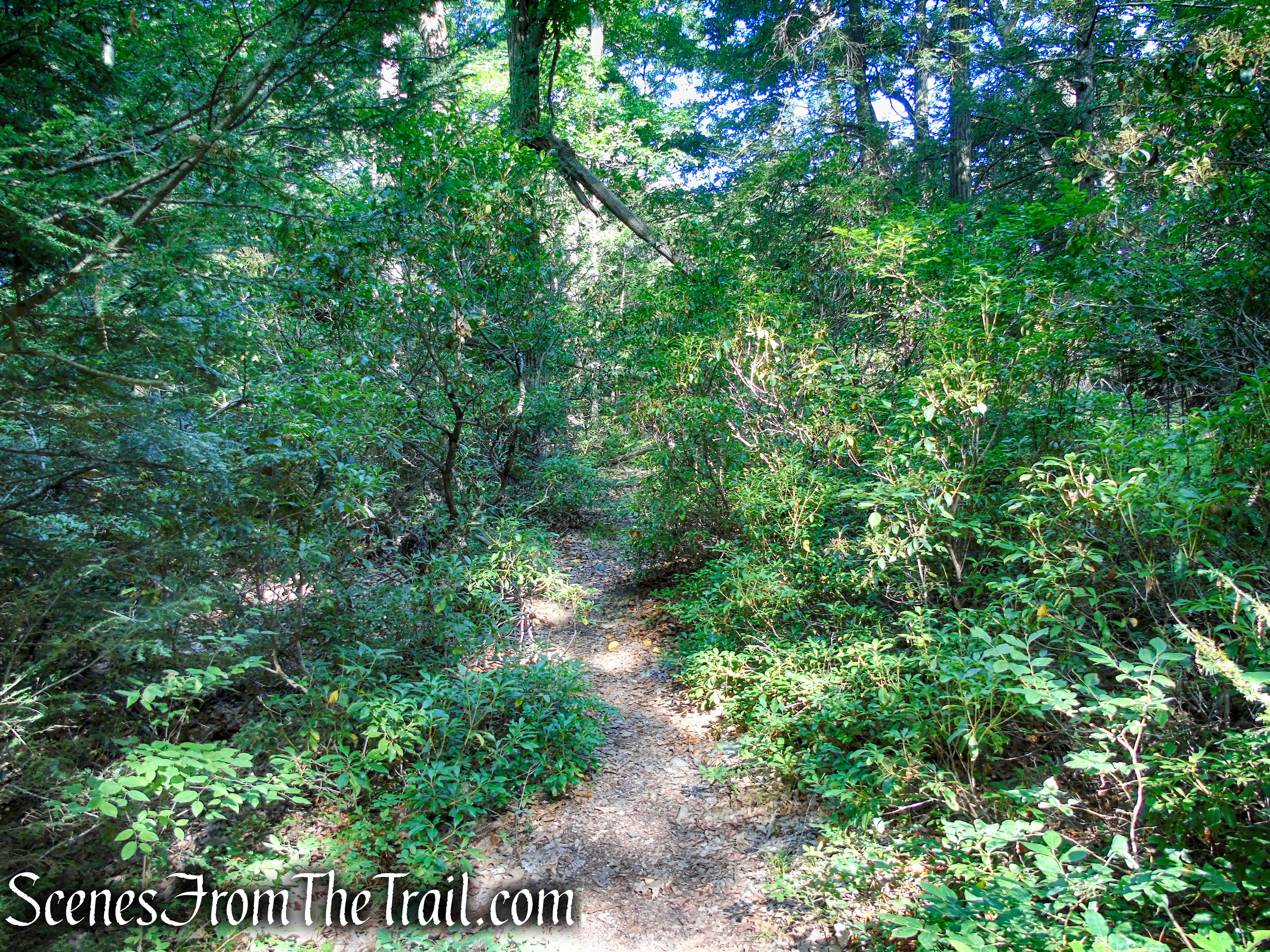 Dunning Trail - Harriman State Park