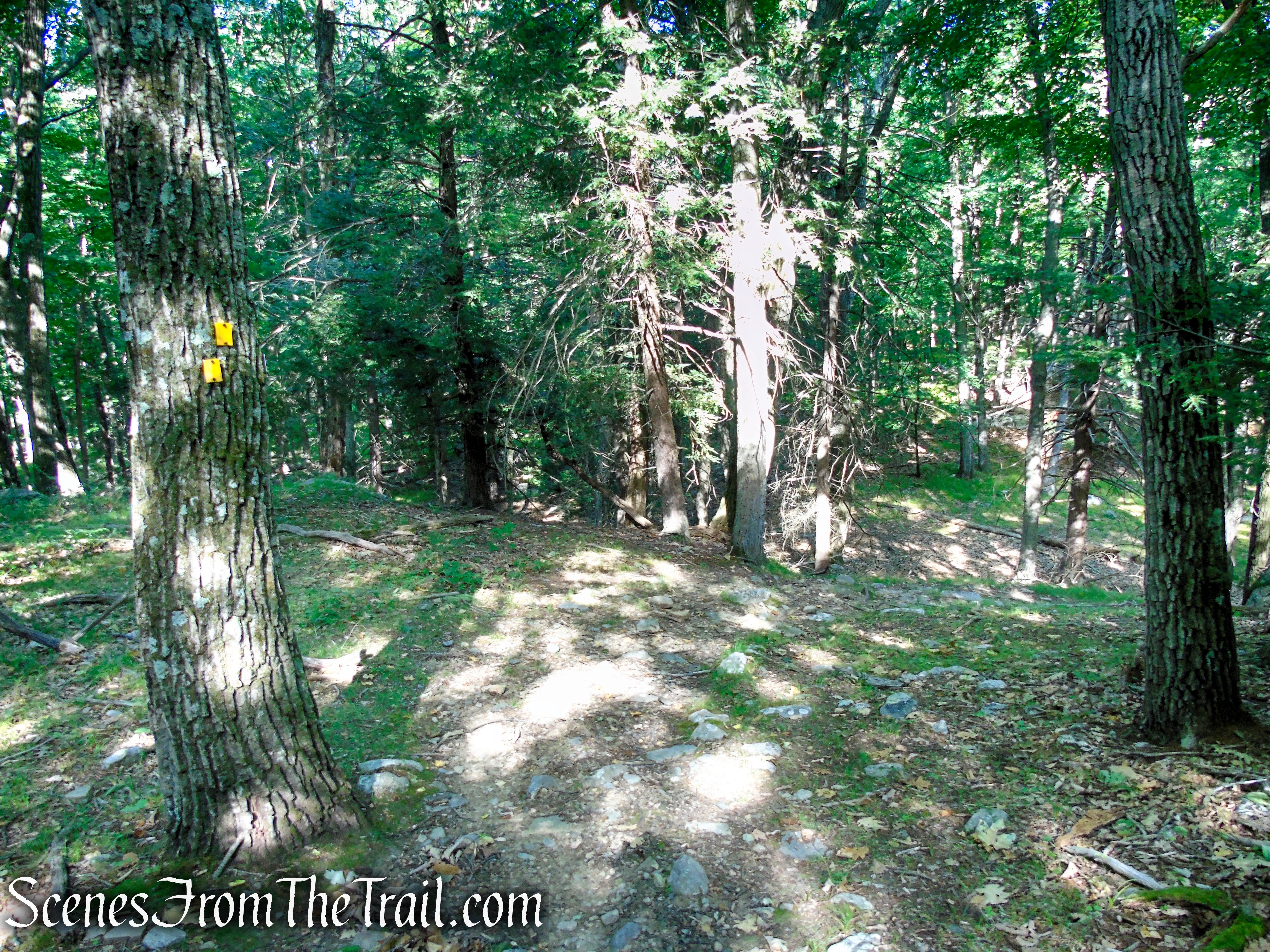 Dunning Trail - Harriman State Park