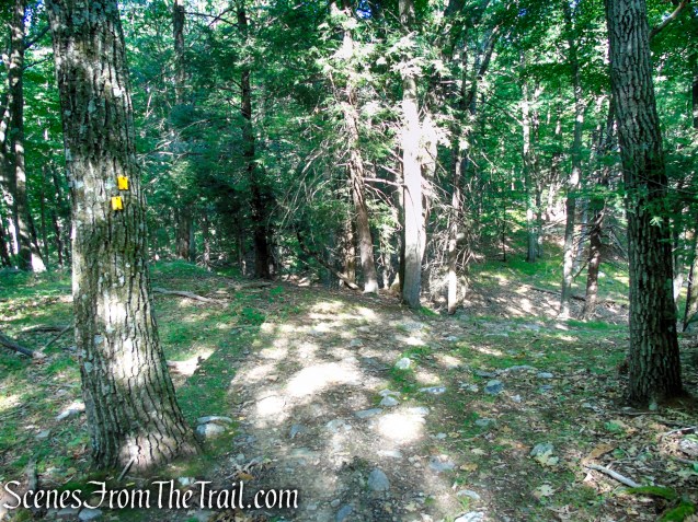 Dunning Trail - Harriman State Park