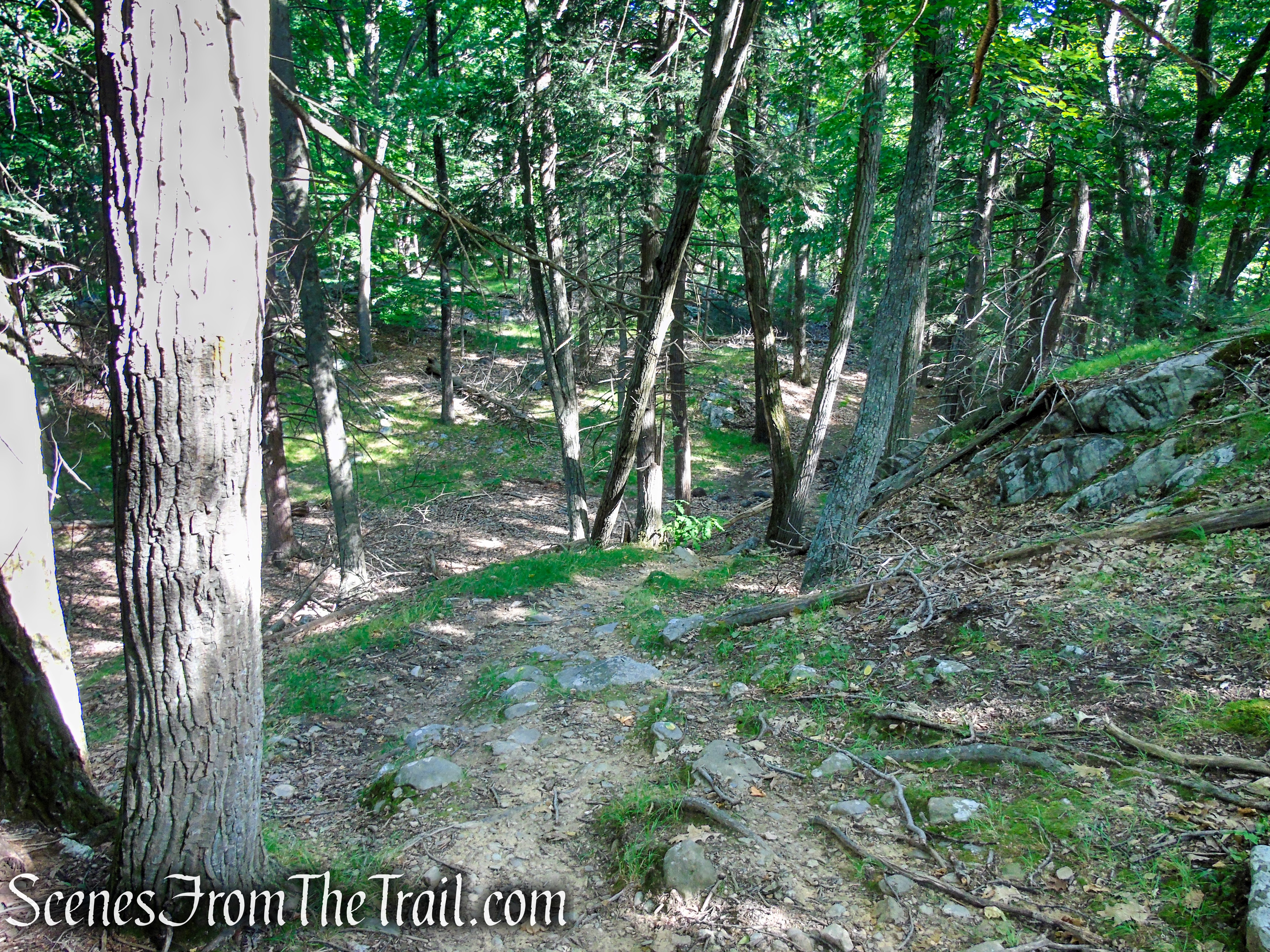 Dunning Trail - Harriman State Park