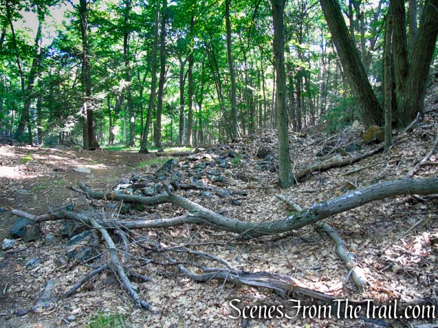 ore dump near the Boston Mine