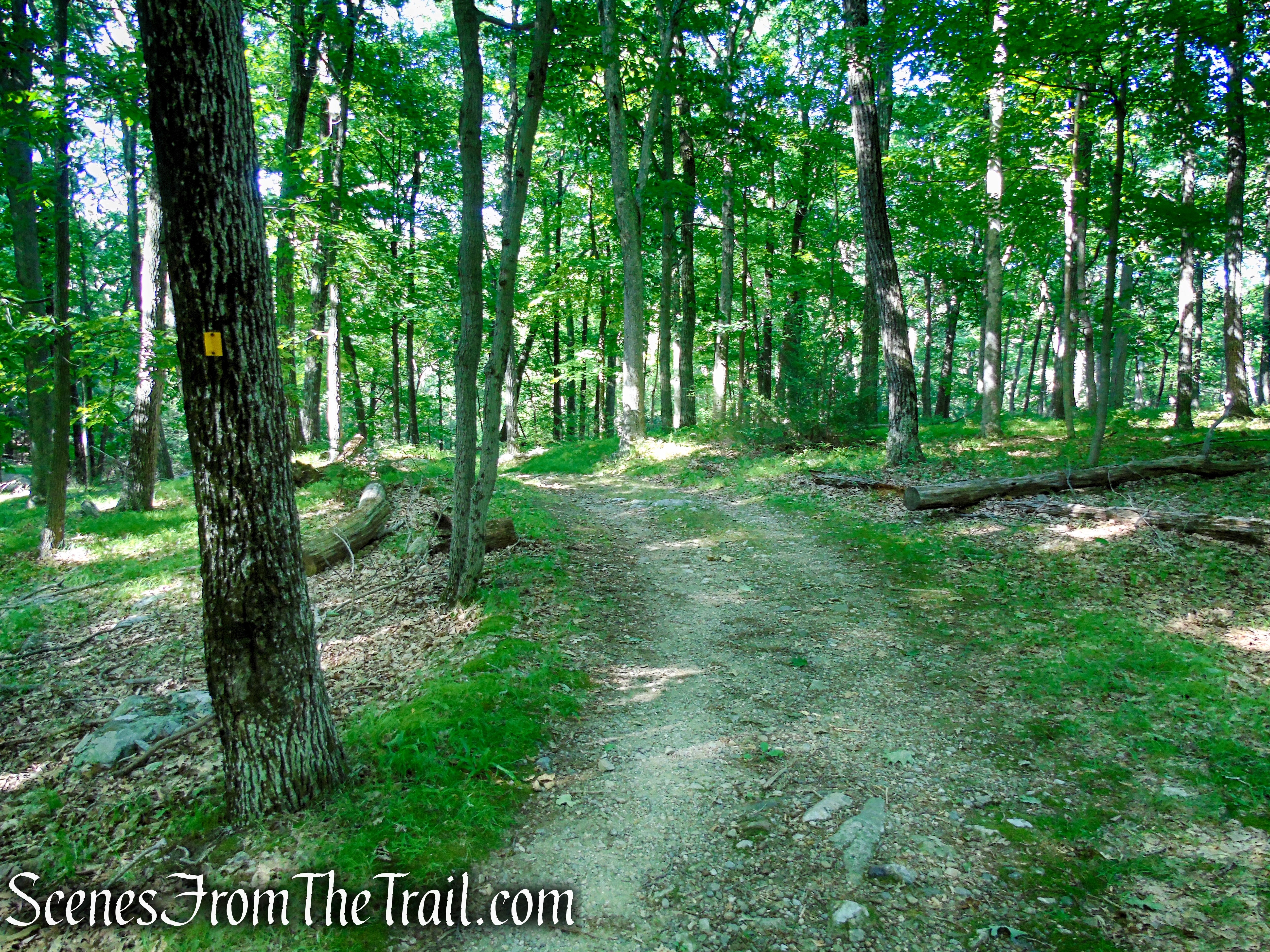 Dunning Trail - Harriman State Park