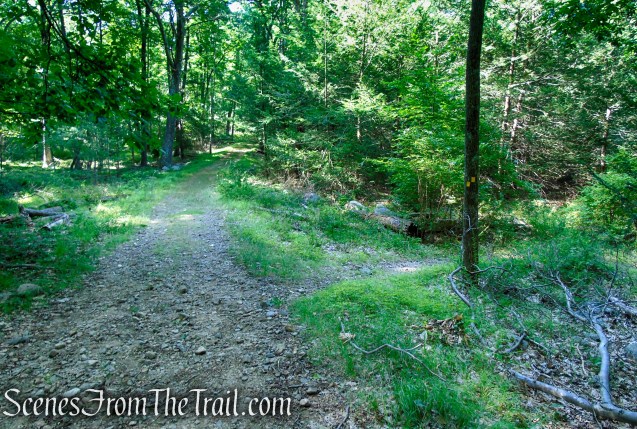 continue straight on Island Pond Road