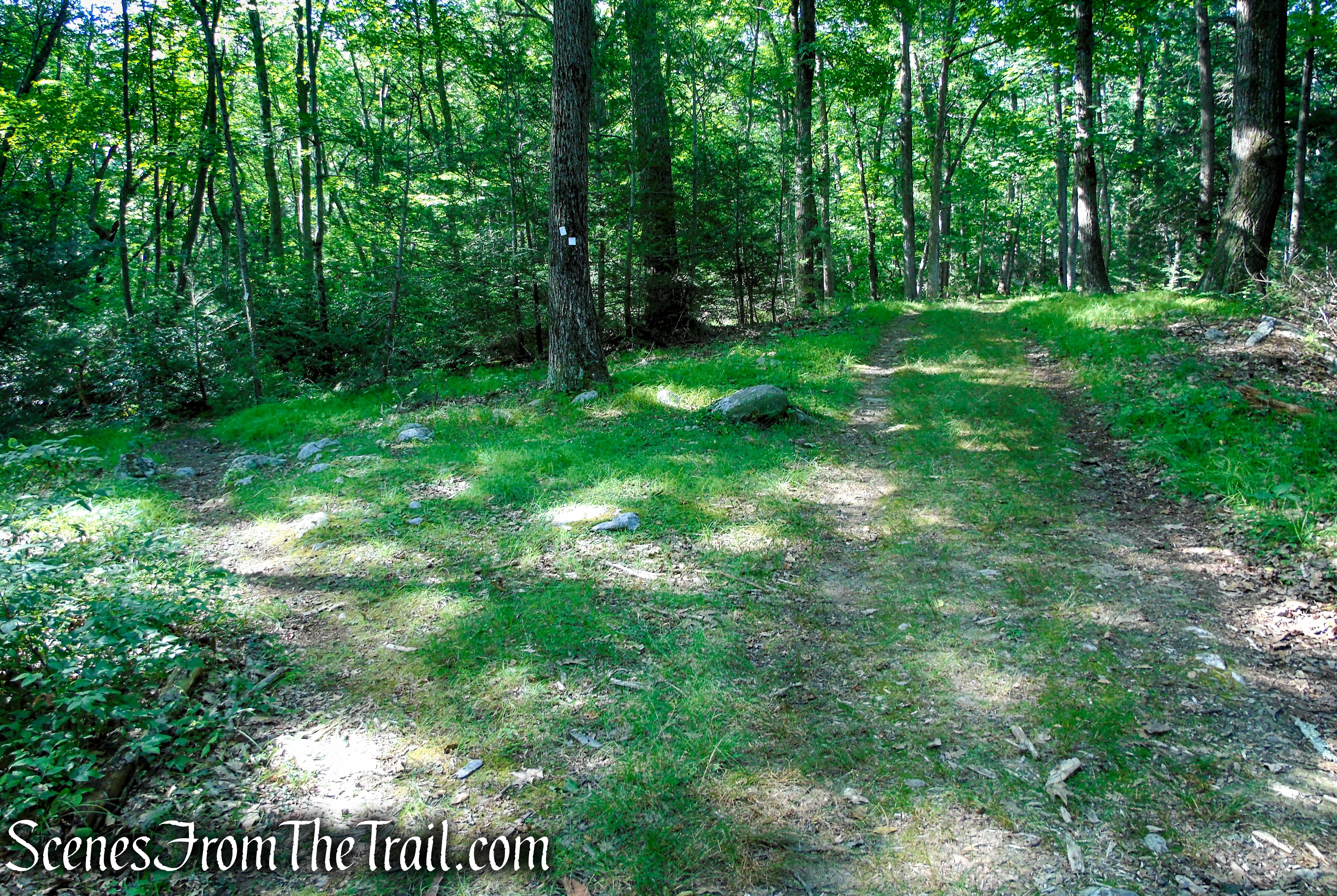 turn left on Nurian Trail