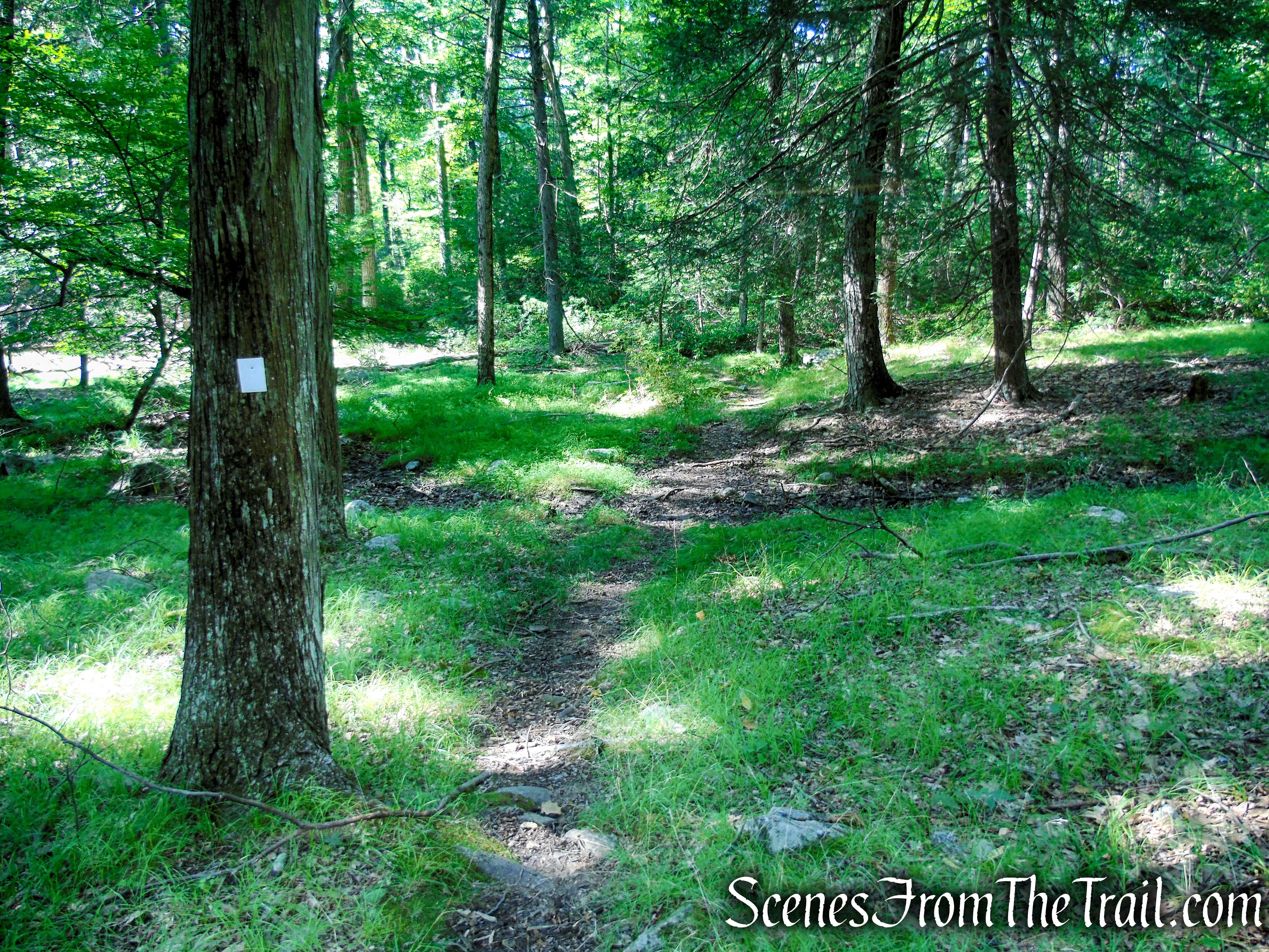 Nurian Trail - Harriman State Park