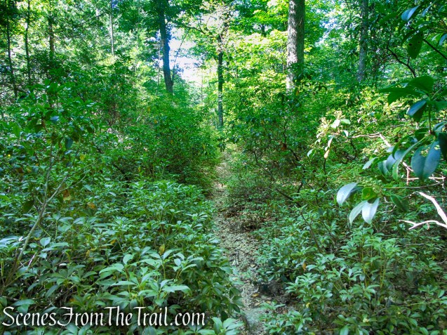 Nurian Trail - Harriman State Park