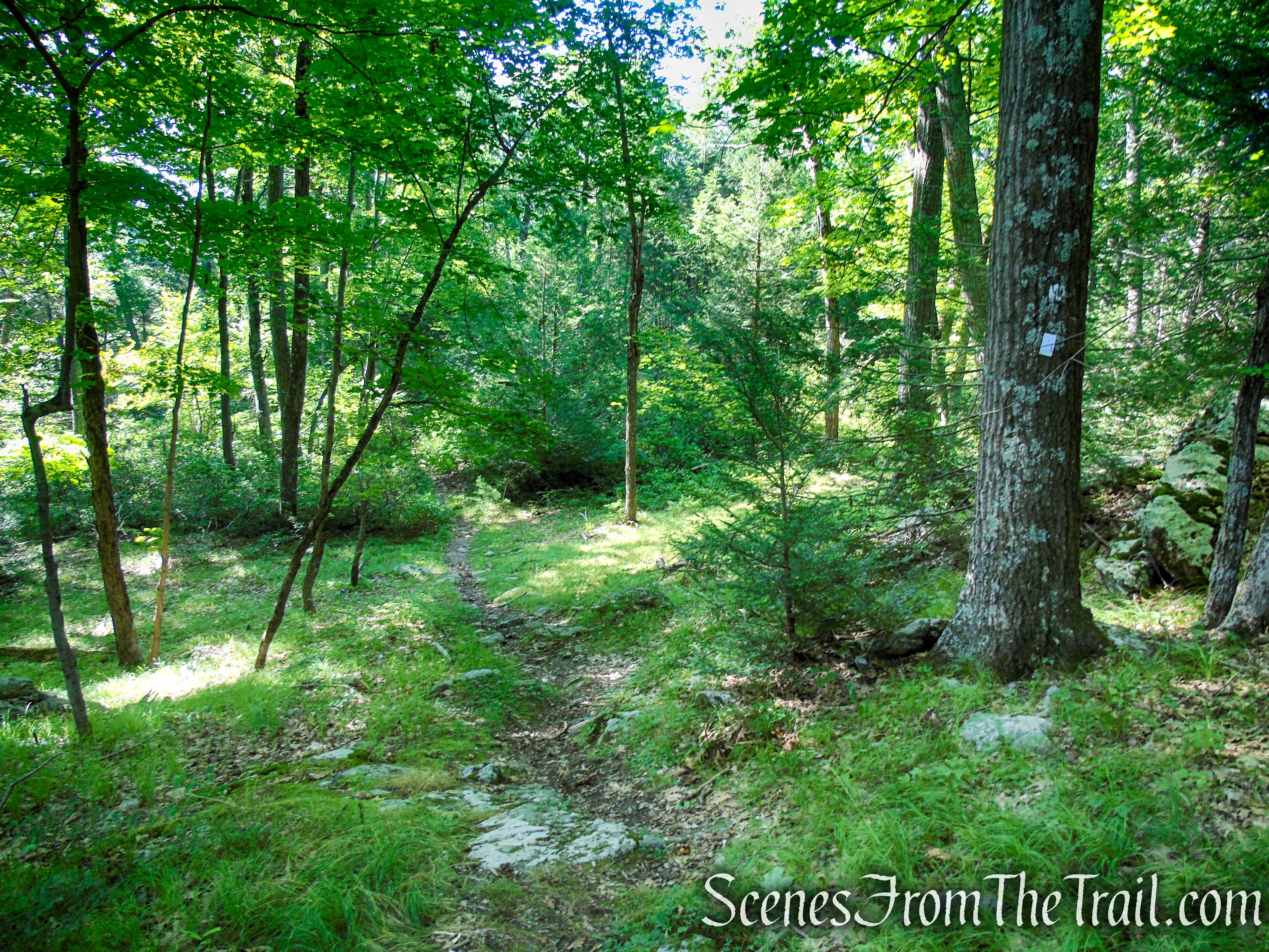Nurian Trail - Harriman State Park