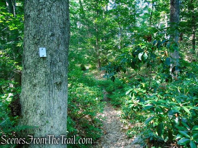 Nurian Trail - Harriman State Park