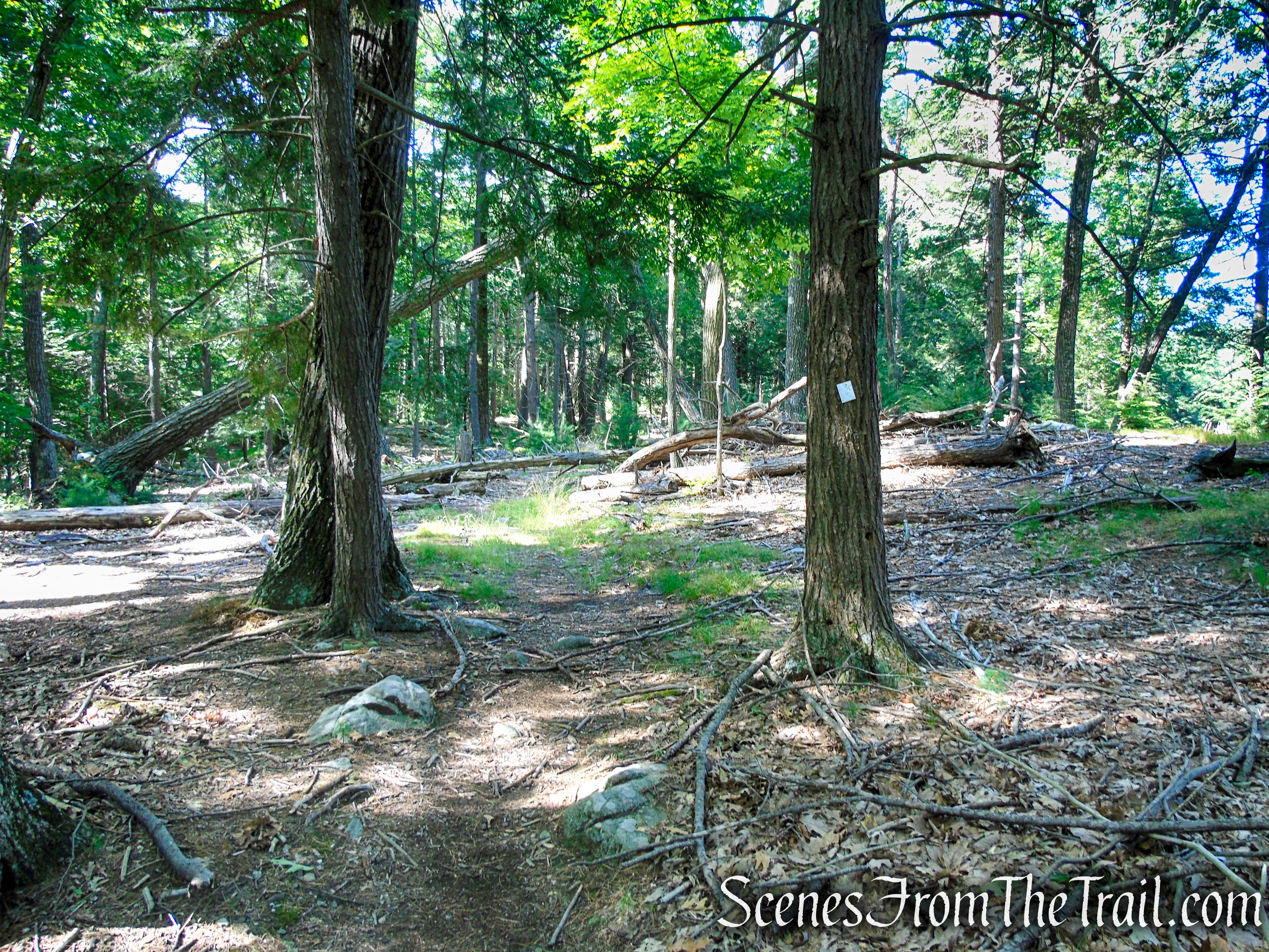 Nurian Trail - Harriman State Park