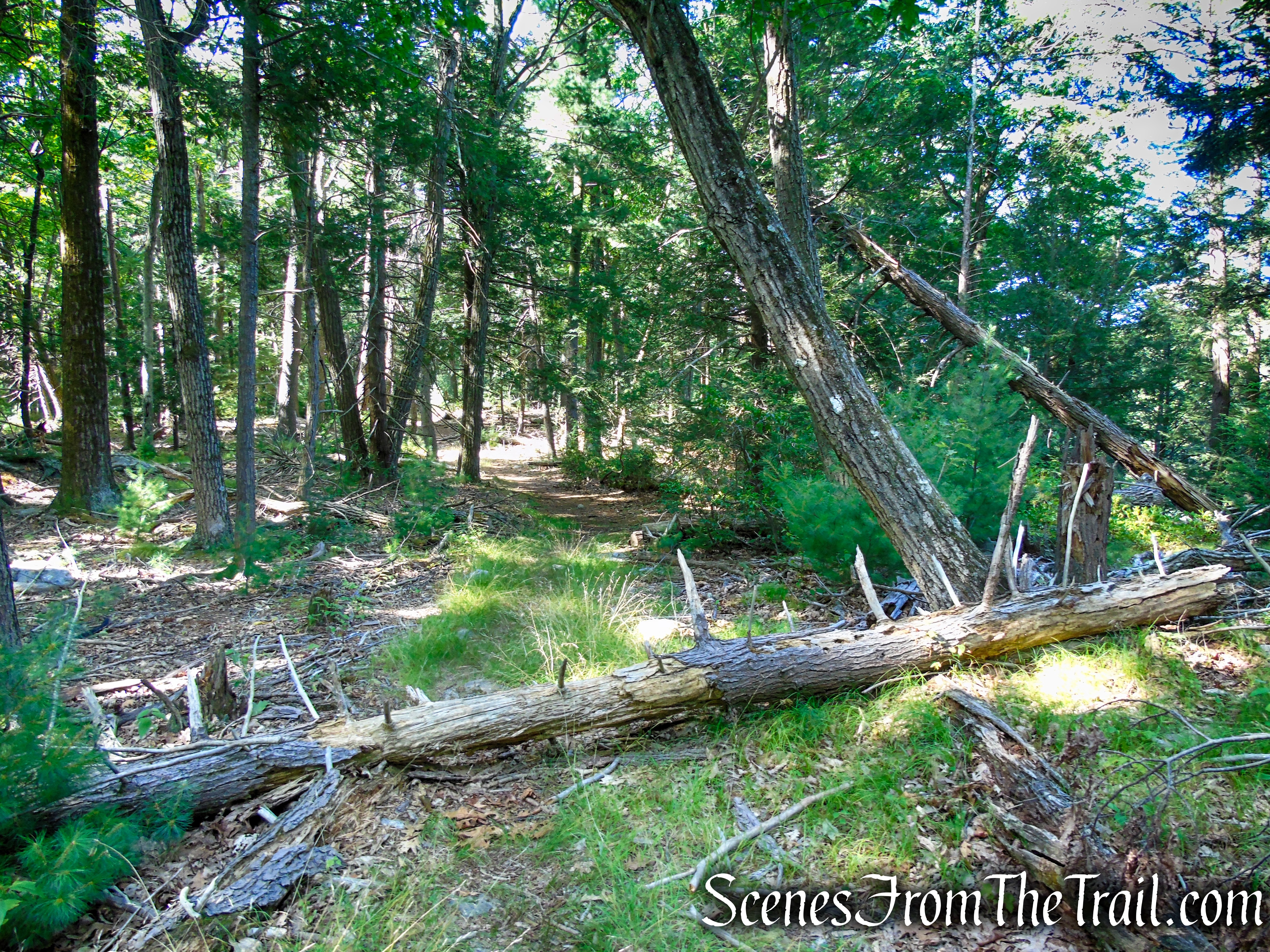 Nurian Trail - Harriman State Park