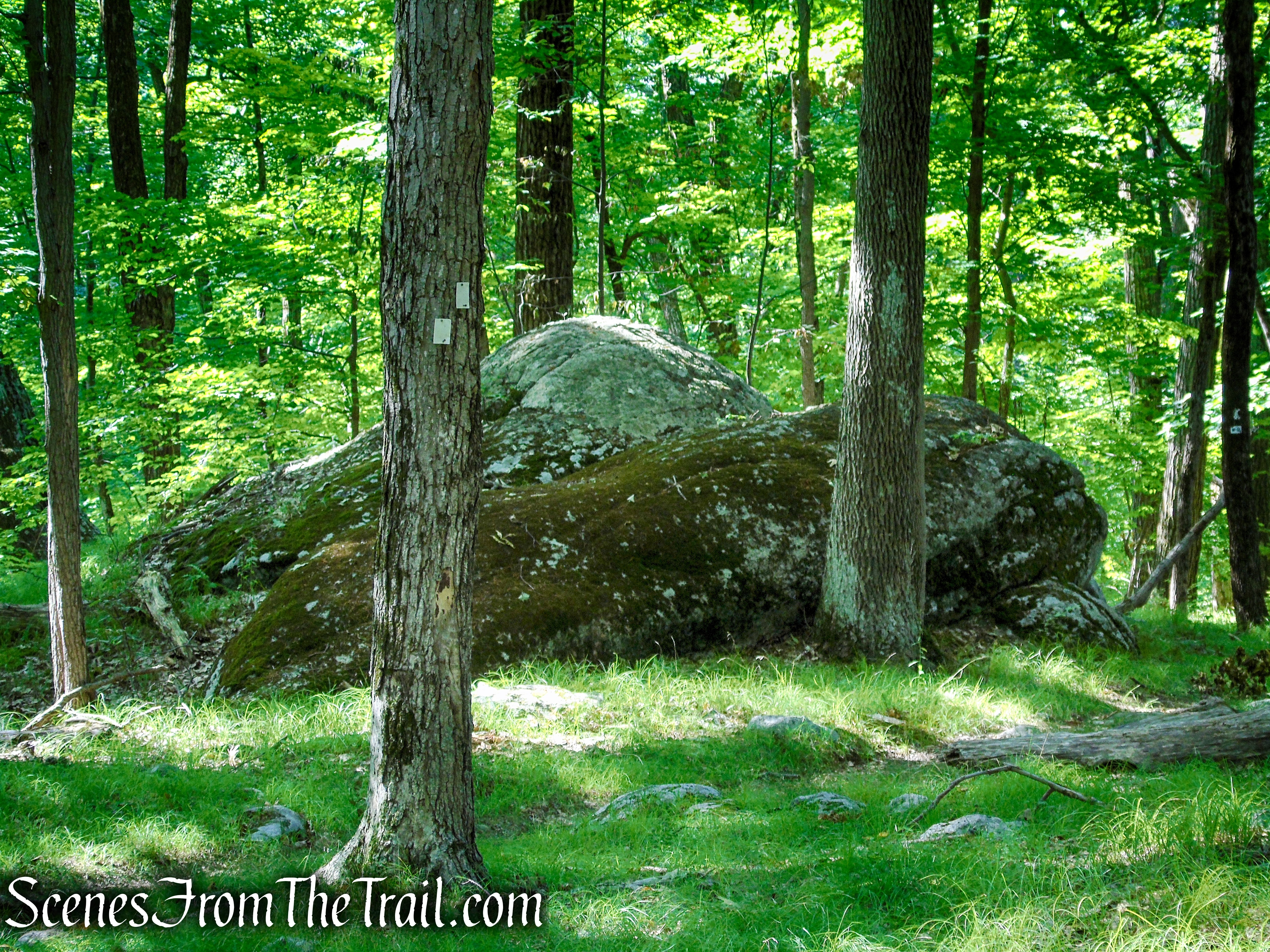 Nurian Trail - Harriman State Park