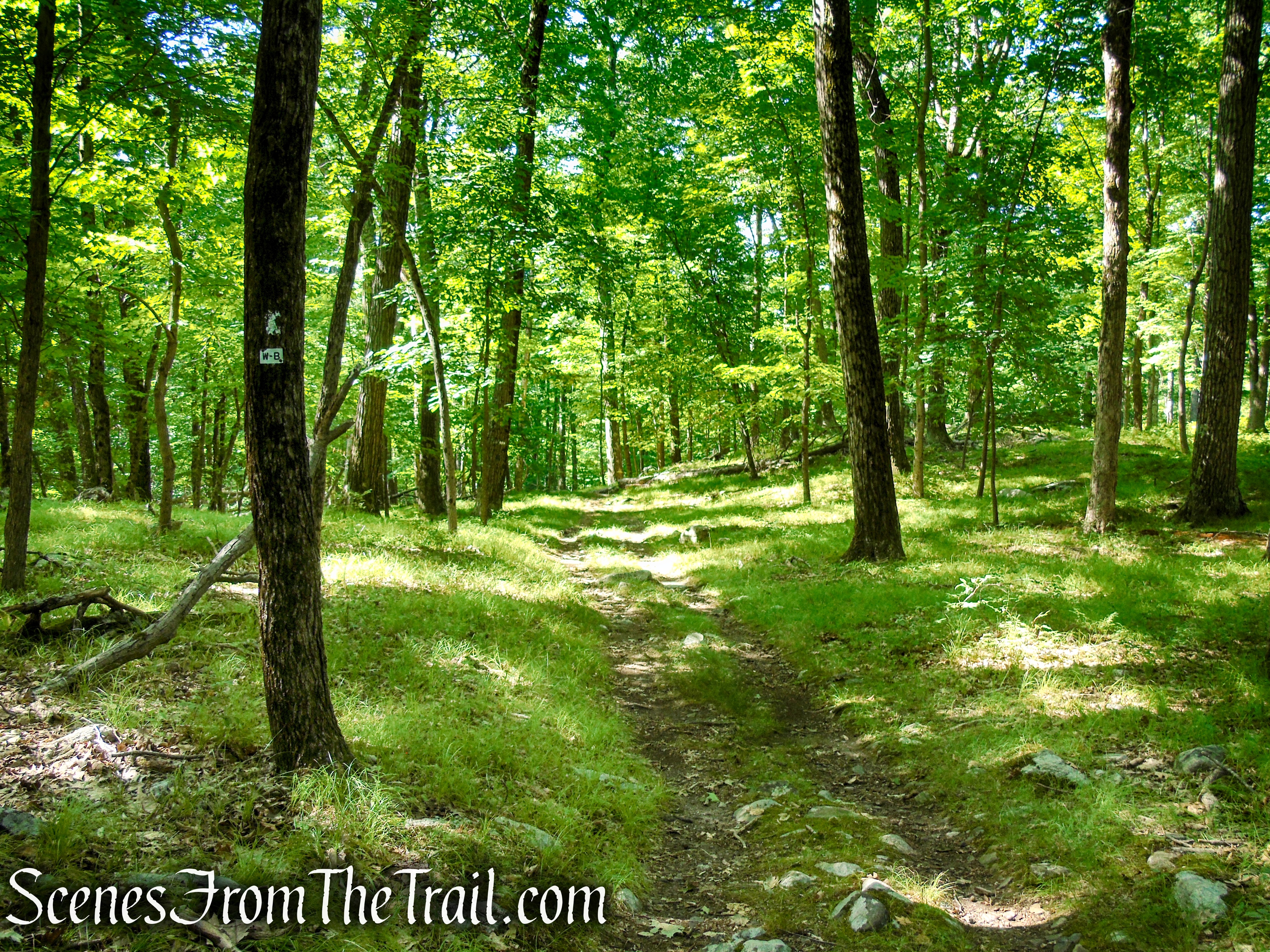 Joint W-B/Nurian Trails – Harriman State Park