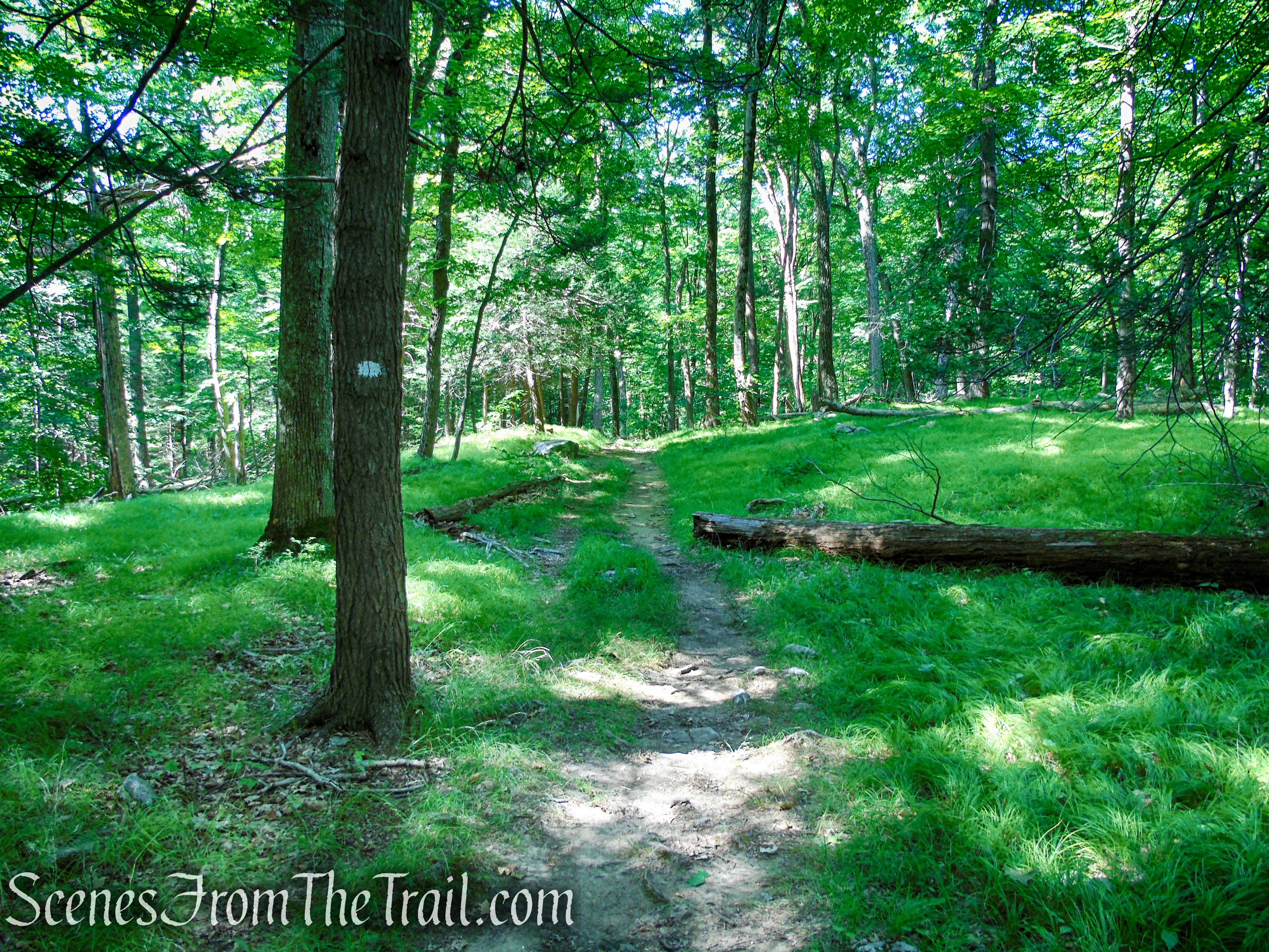 White Bar Trail - Harriman State Park