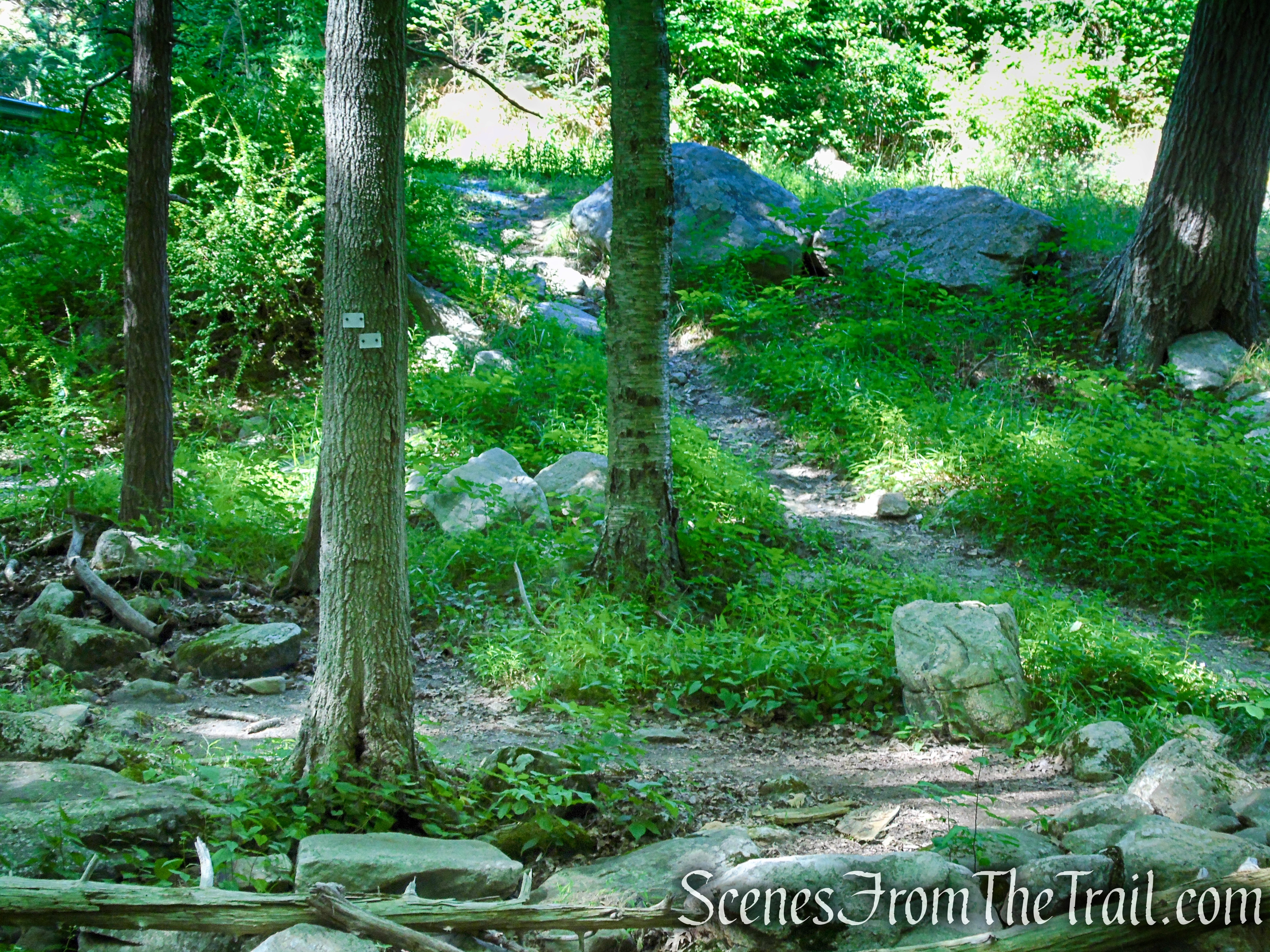 turn left to remain on White Bar Trail
