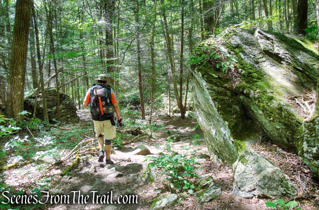 Pine Knob Loop Trail