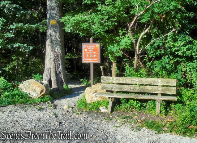 Castle Loop Trail – Ramapo Mountain State Forest