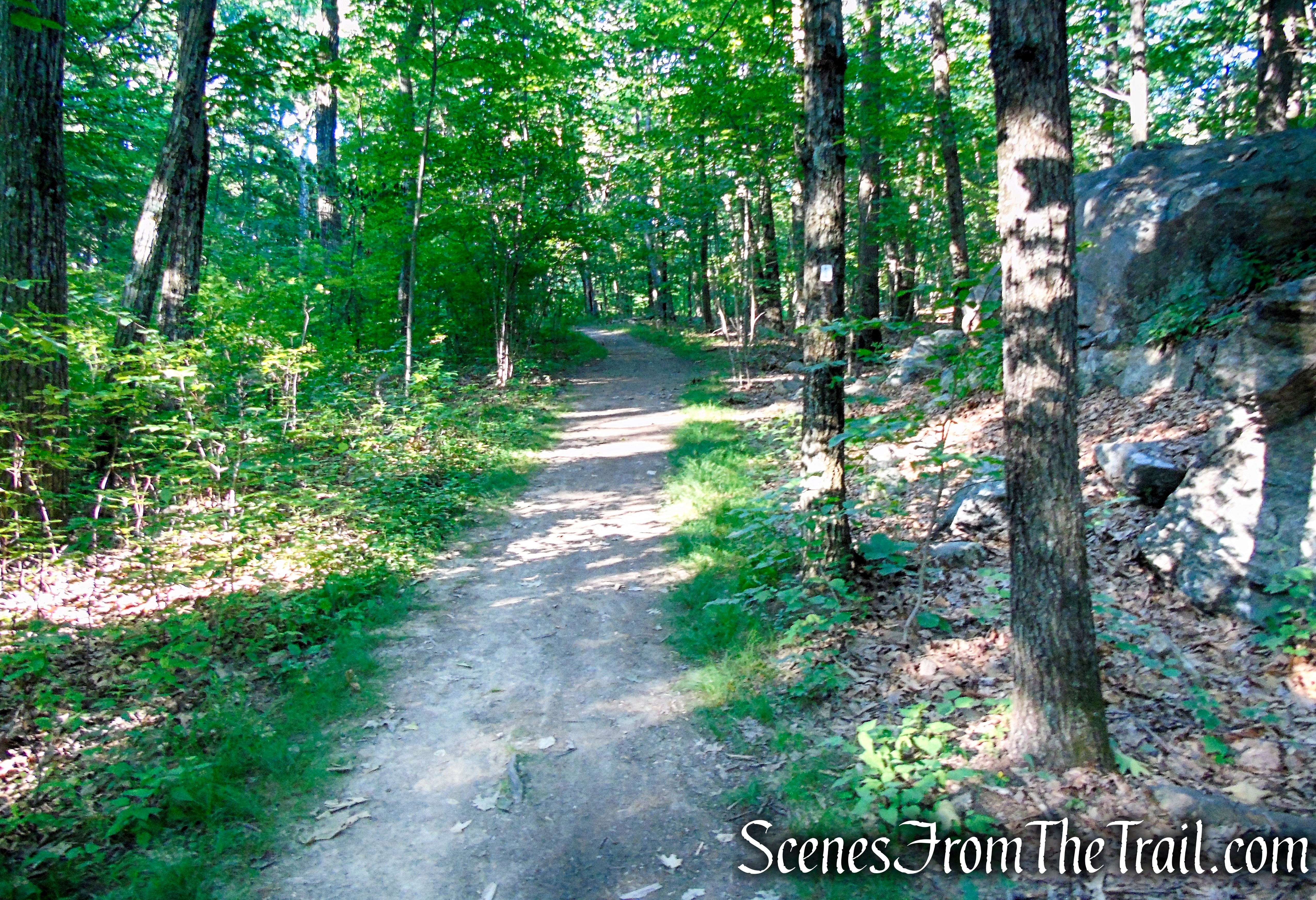 Castle Loop Trail – Ramapo Mountain State Forest