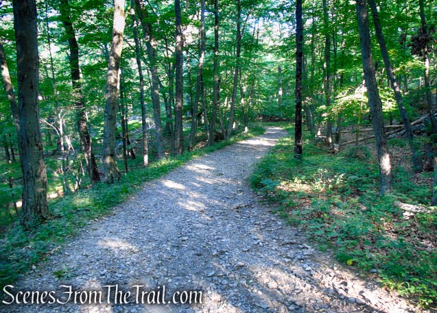 Castle Loop Trail – Ramapo Mountain State Forest