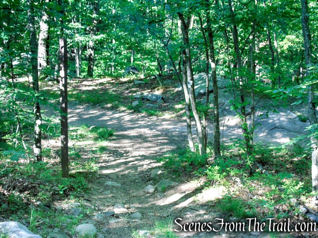 Castle Loop Trail – Ramapo Mountain State Forest