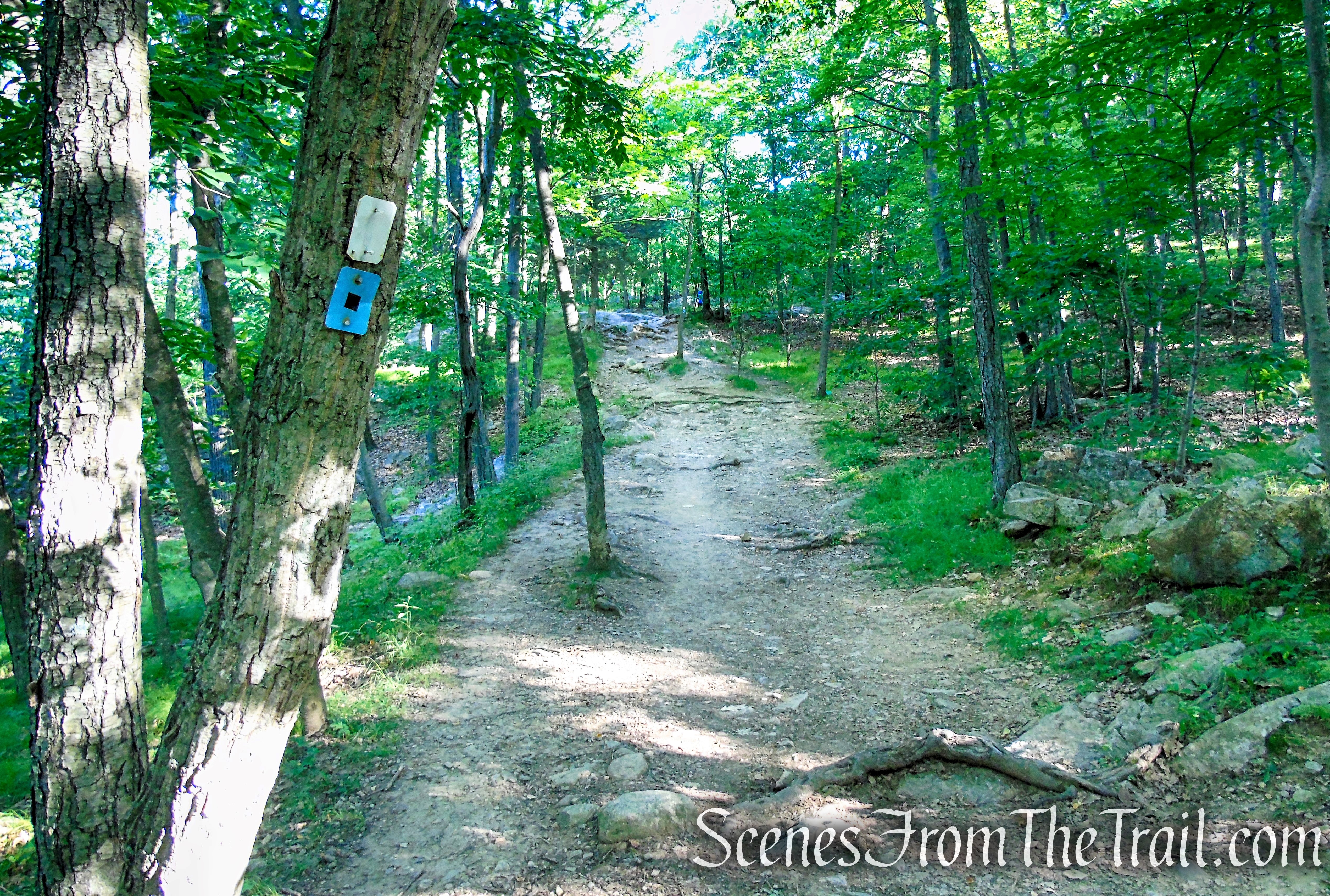 Castle Loop Trail – Ramapo Mountain State Forest