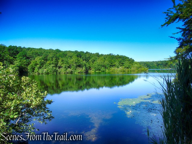 Ramapo Lake – Ramapo Mountain State Forest