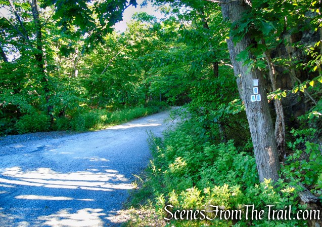 Castle Loop Trail – Ramapo Mountain State Forest