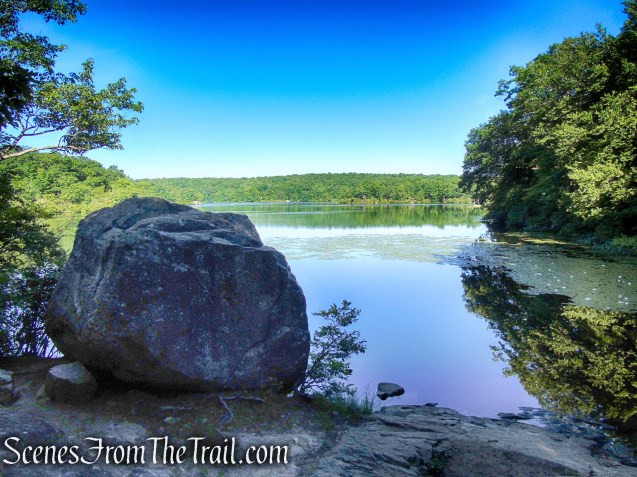 Castle Loop Trail – Ramapo Mountain State Forest