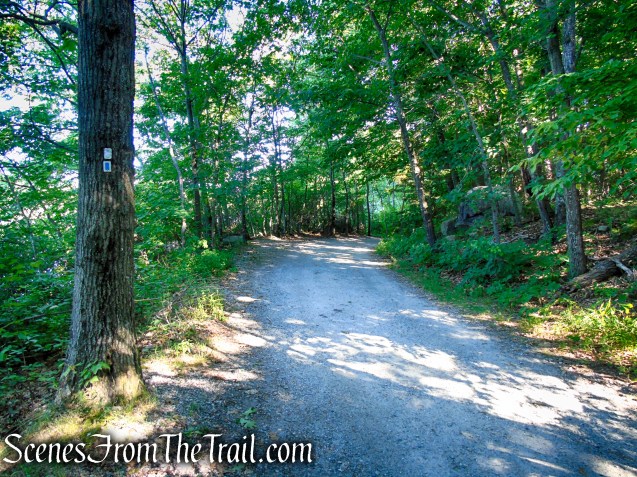 Castle Loop Trail – Ramapo Mountain State Forest