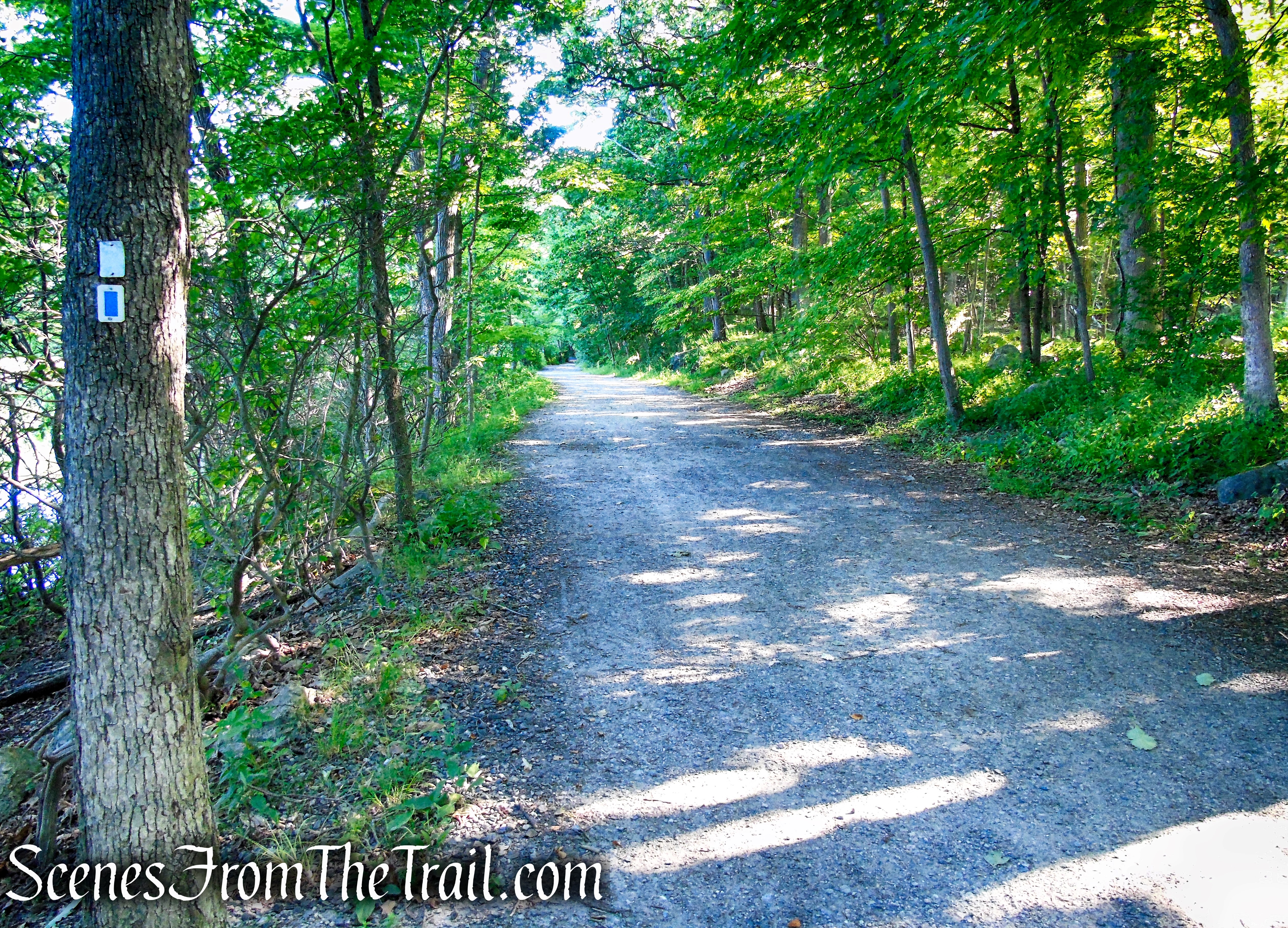 Castle Loop Trail – Ramapo Mountain State Forest