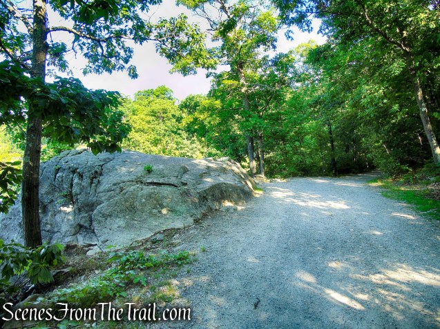Castle Loop Trail – Ramapo Mountain State Forest