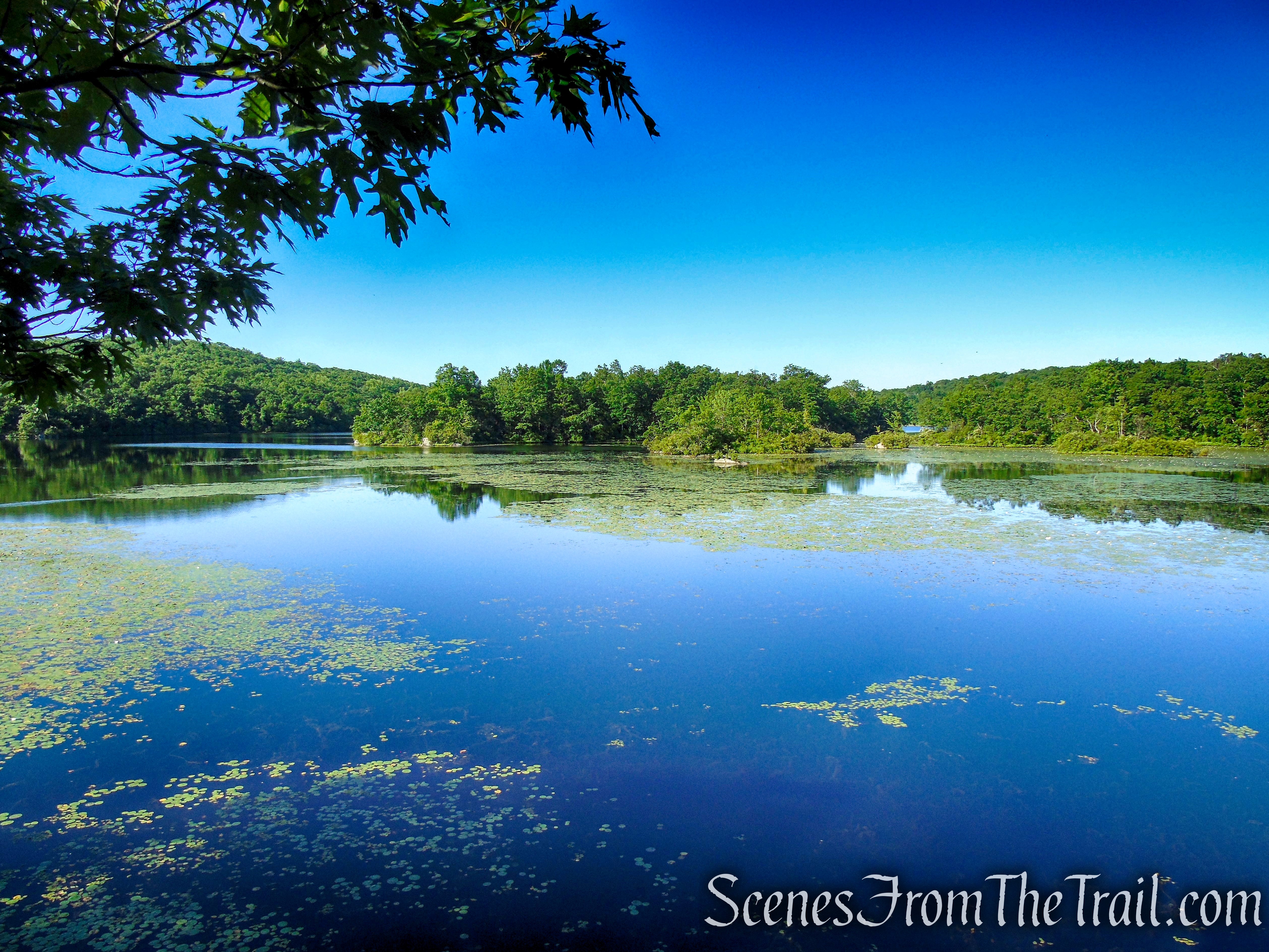 Castle Loop Trail – Ramapo Mountain State Forest