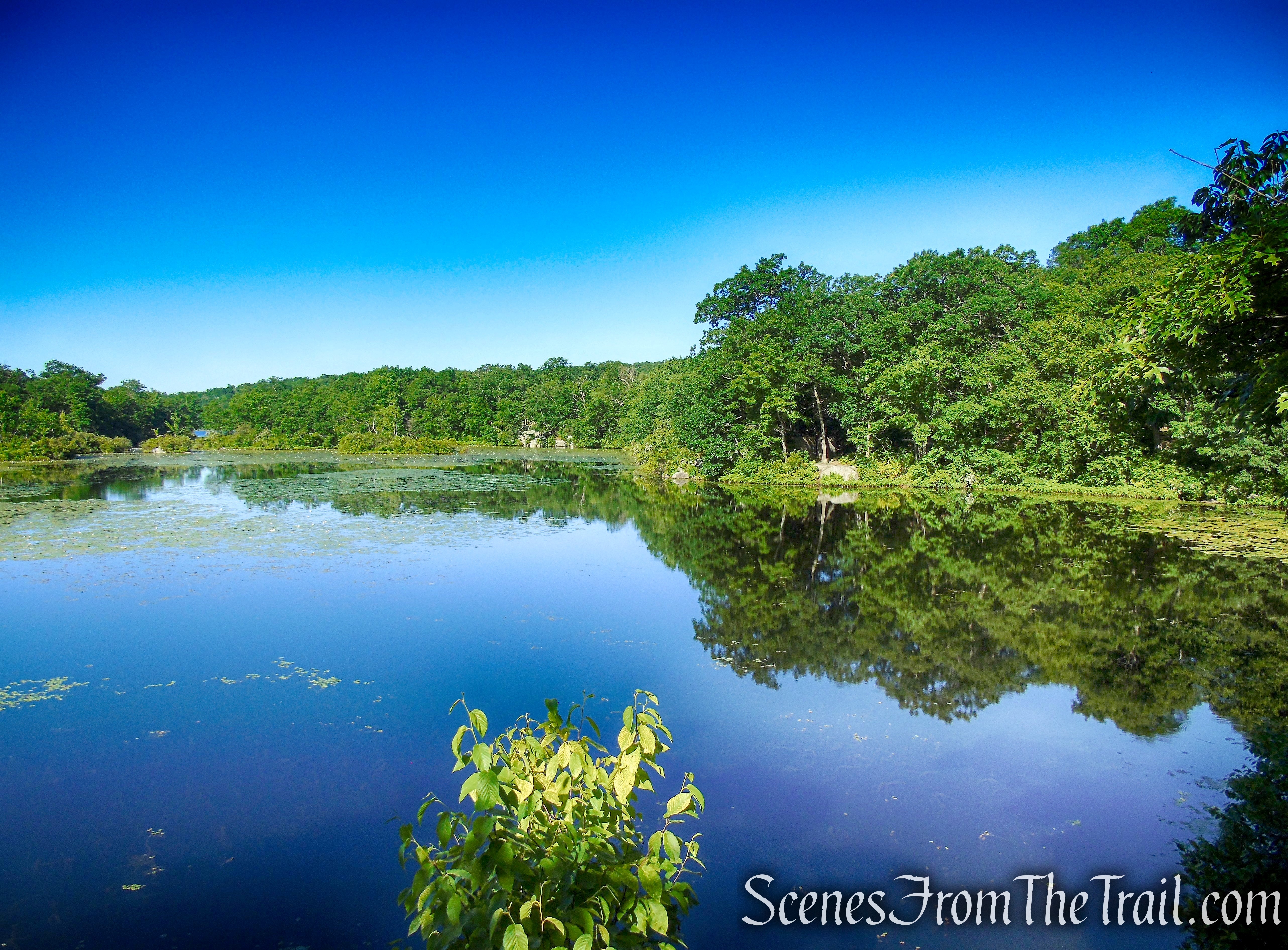 Castle Loop Trail – Ramapo Mountain State Forest