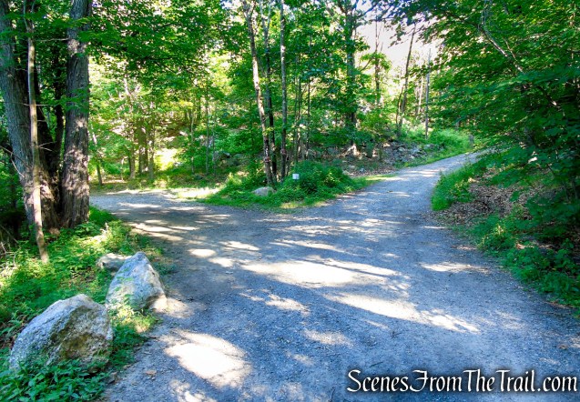 Castle Loop Trail – Ramapo Mountain State Forest