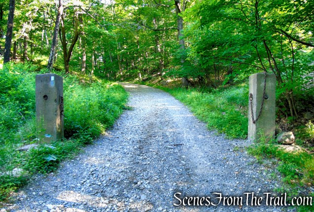 Castle Loop Trail – Ramapo Mountain State Forest
