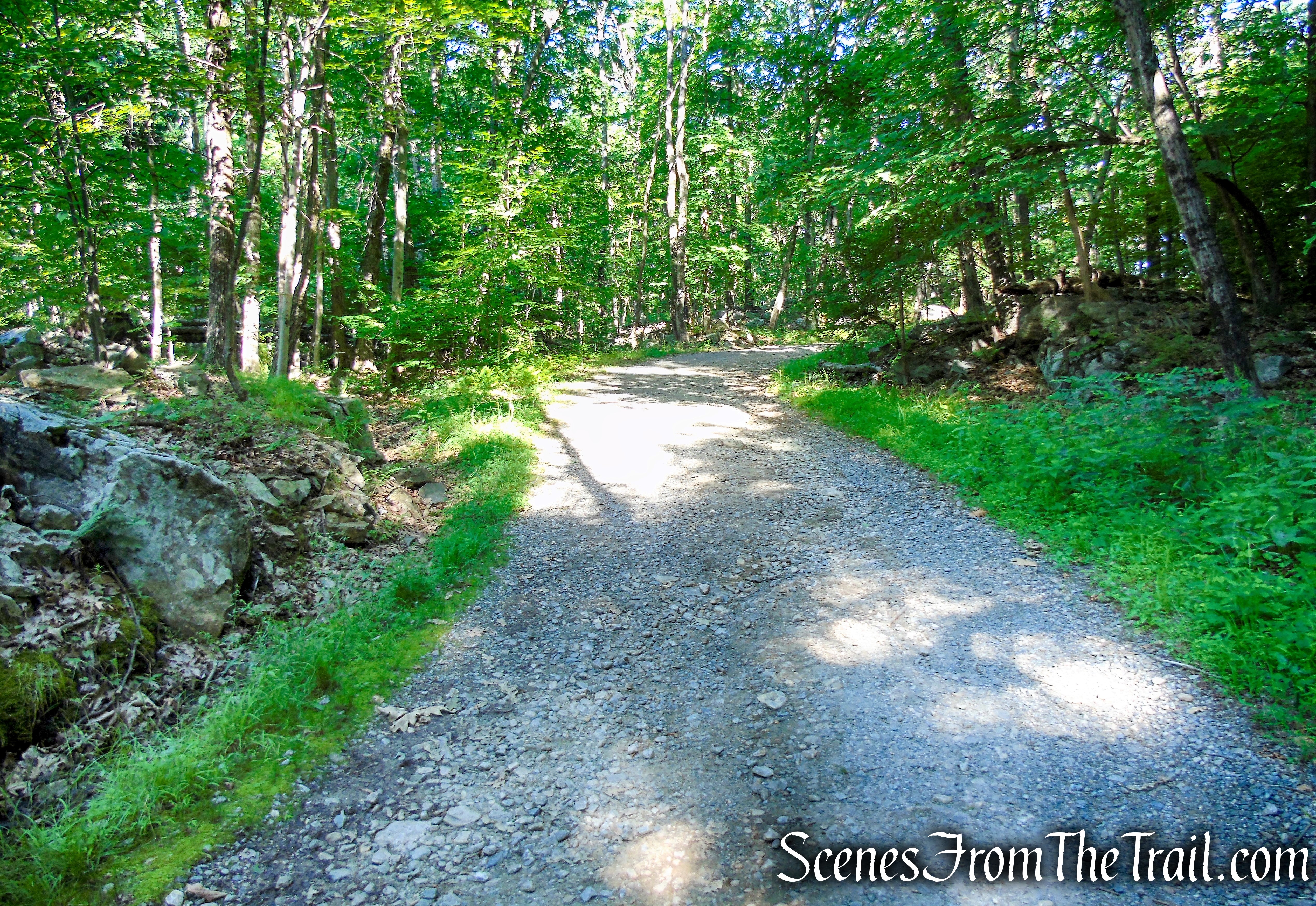 Castle Loop Trail – Ramapo Mountain State Forest