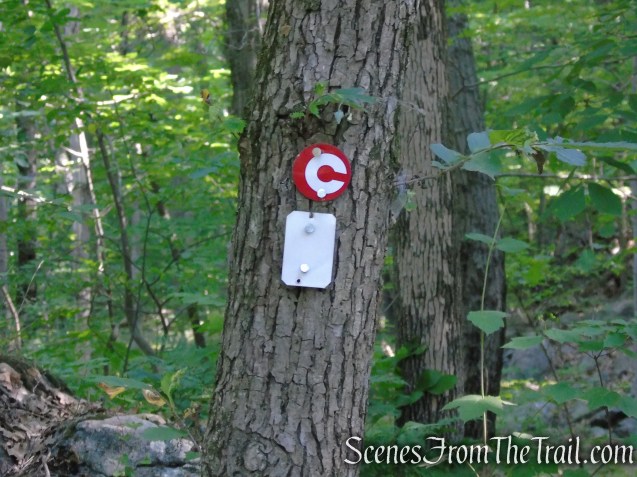 Castle Loop Trail – Ramapo Mountain State Forest