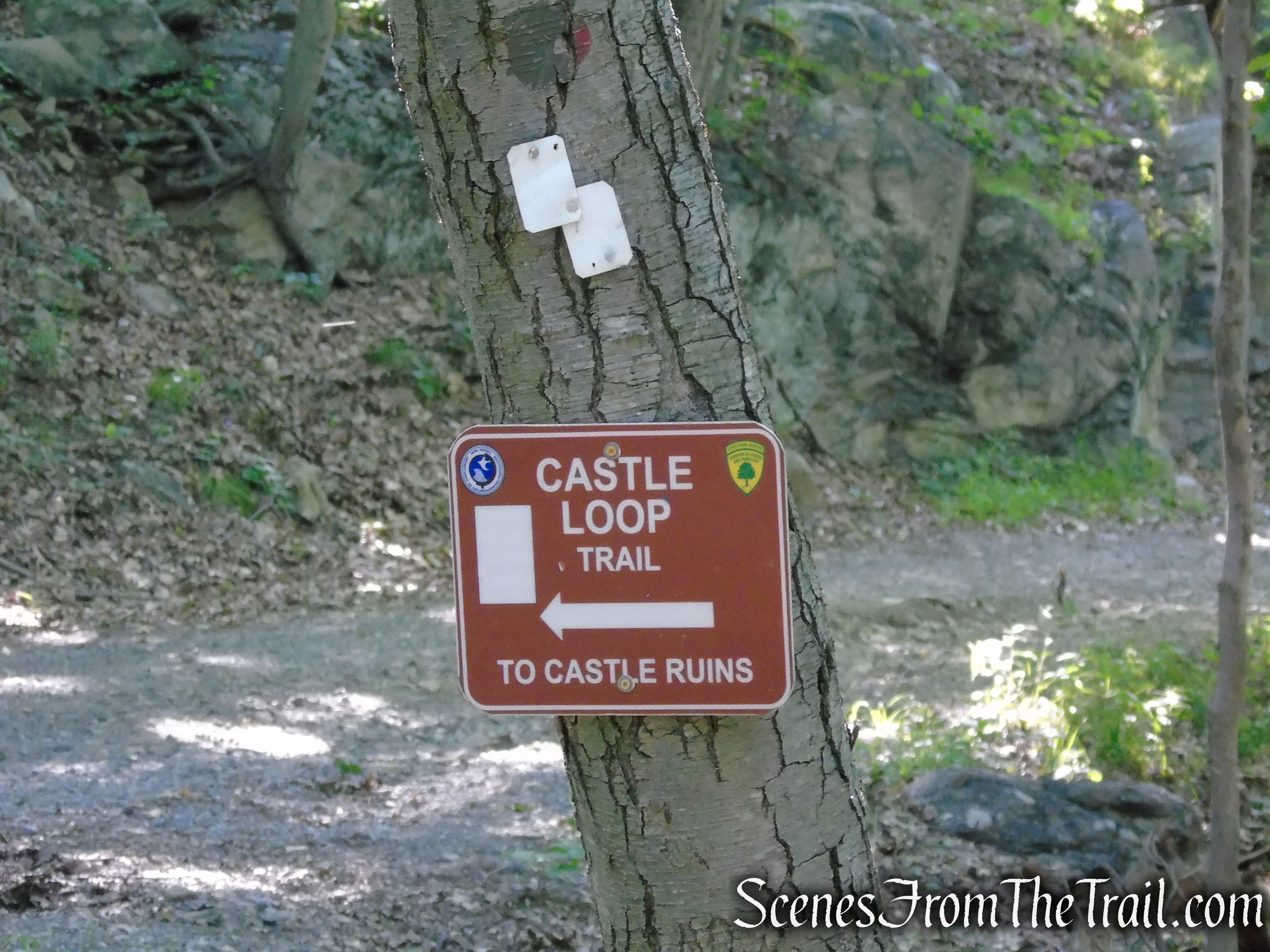 Castle Loop Trail – Ramapo Mountain State Forest