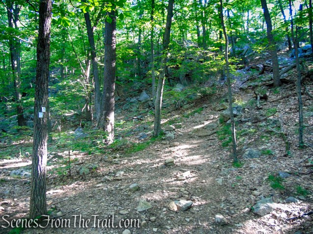Castle Loop Trail – Ramapo Mountain State Forest