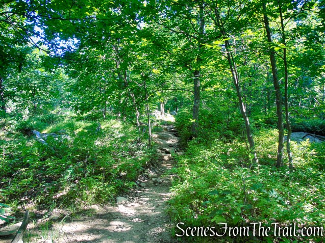 Castle Loop Trail – Ramapo Mountain State Forest