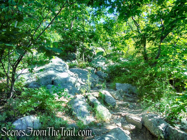 Castle Loop Trail – Ramapo Mountain State Forest