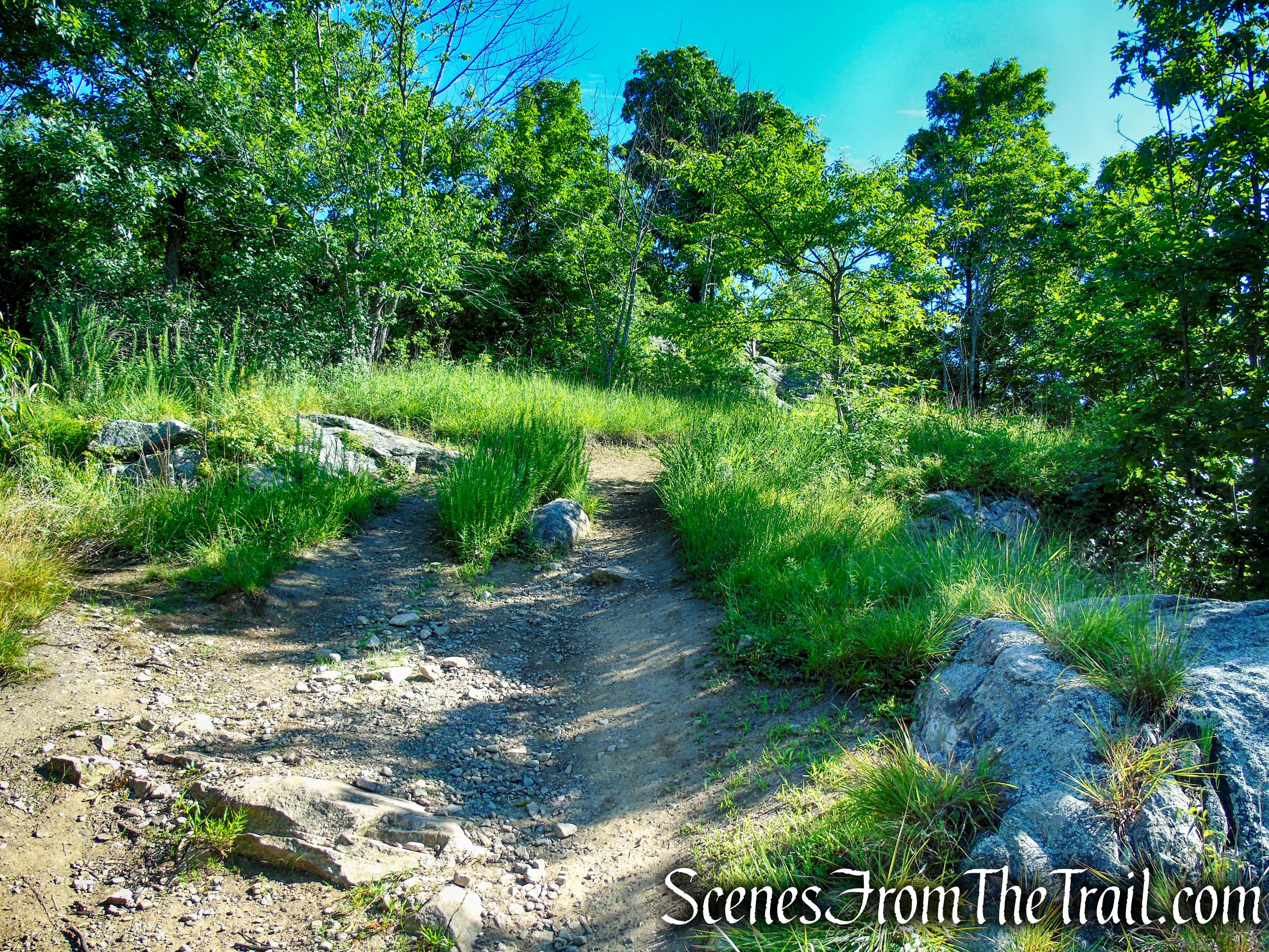 Castle Loop Trail – Ramapo Mountain State Forest