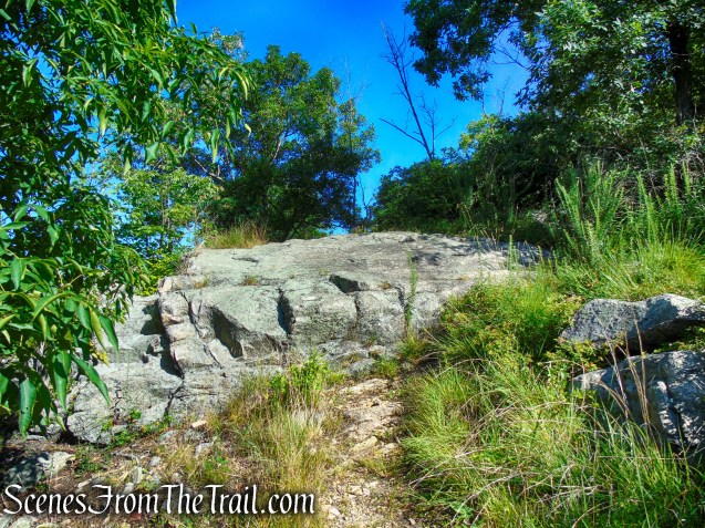 rock ledge - Ramapo Mountain State Forest